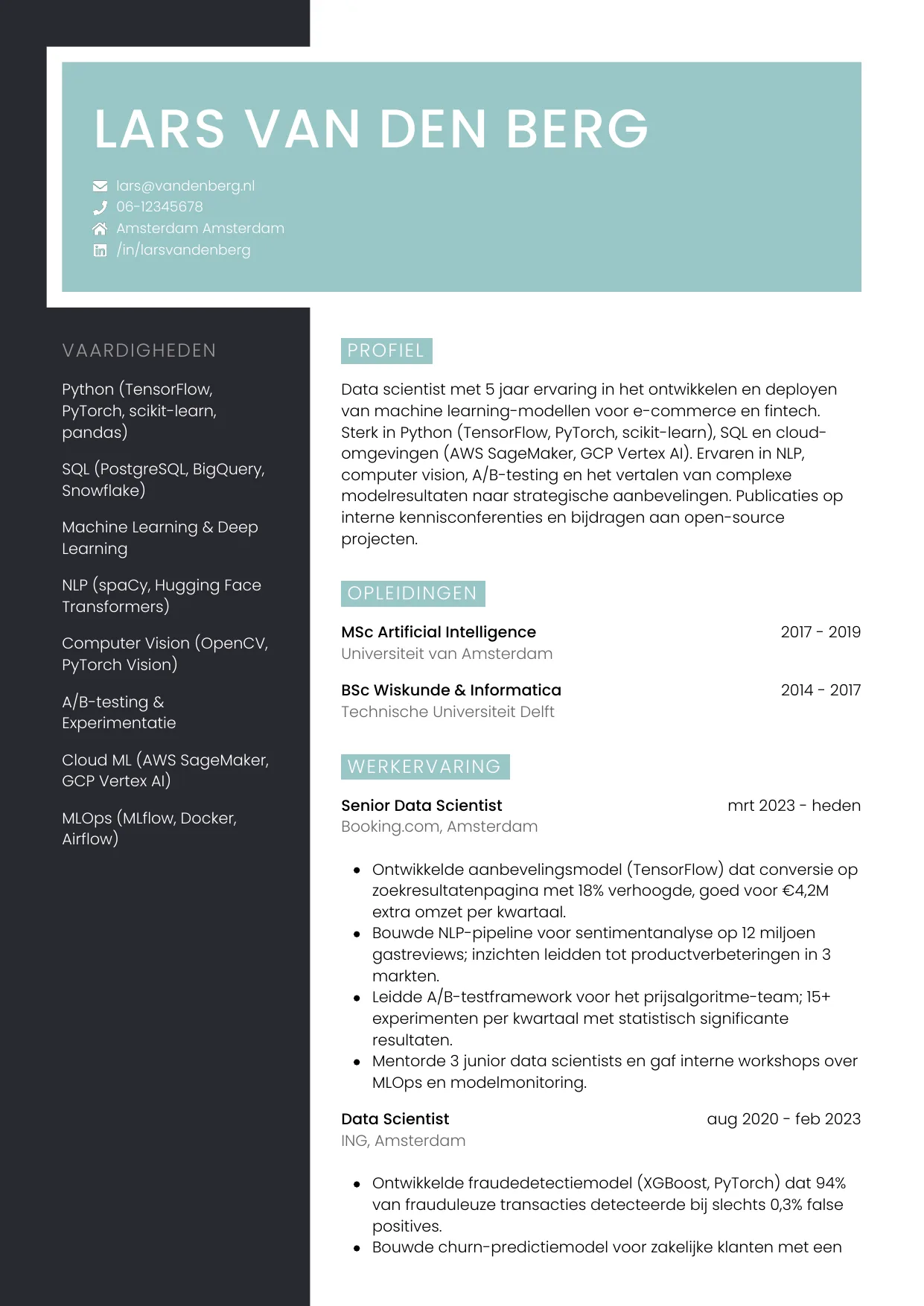 CV Elegant voor data scientist