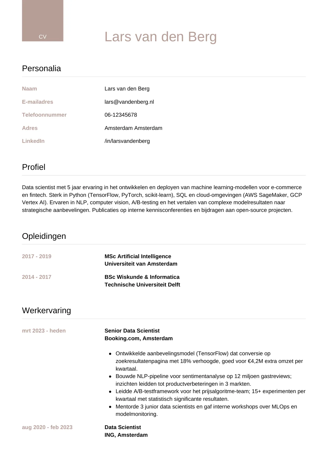 CV Luxe voor data scientist