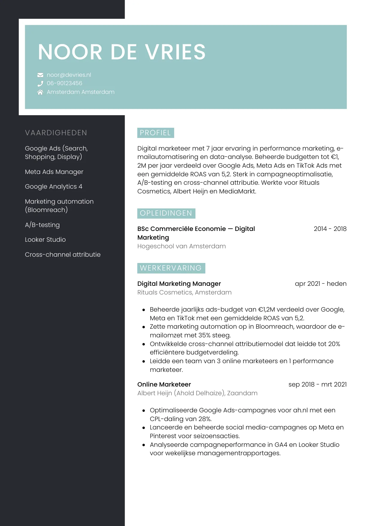 CV Elegant voor digital marketeer