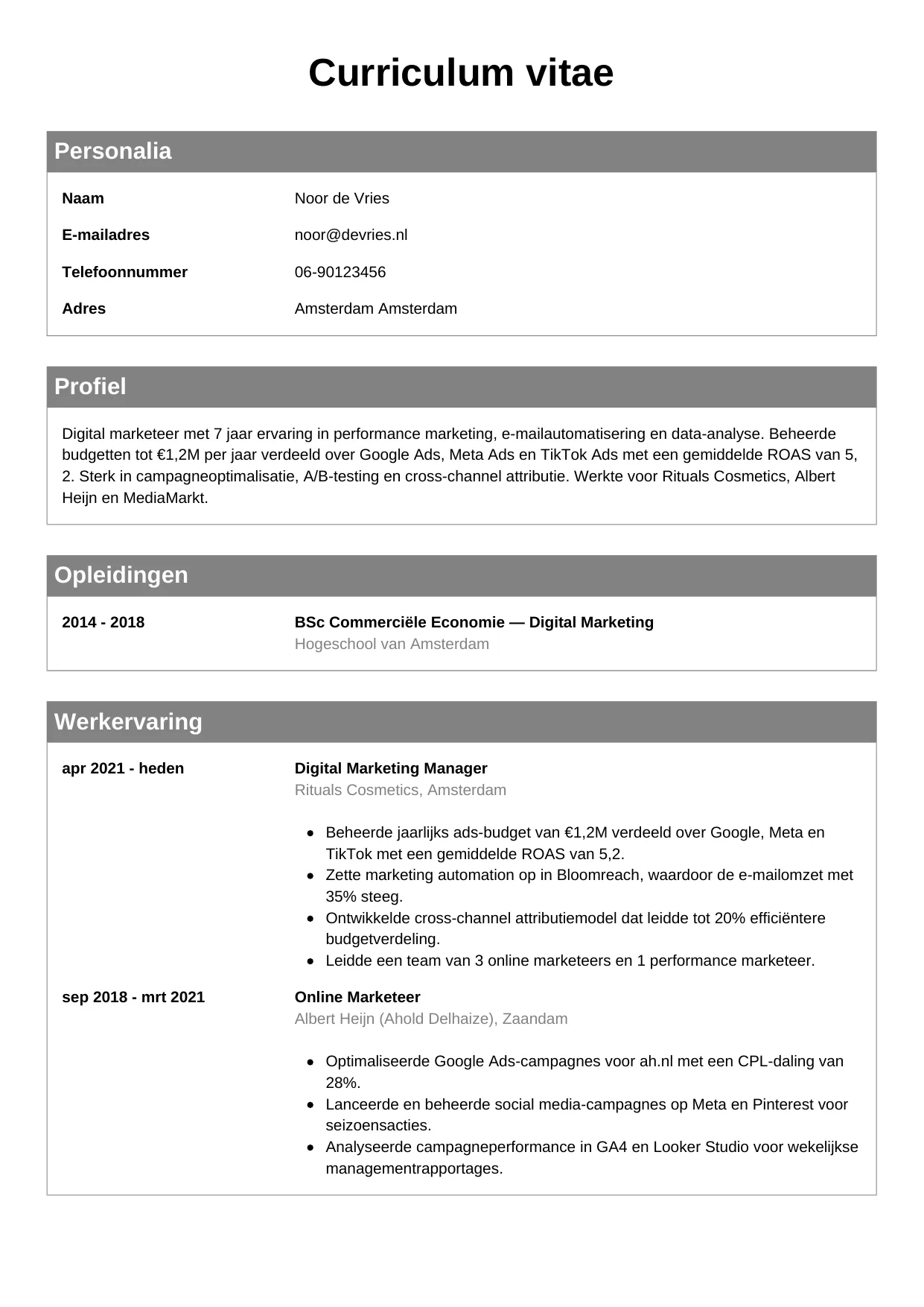 CV Klassiek voor digital marketeer