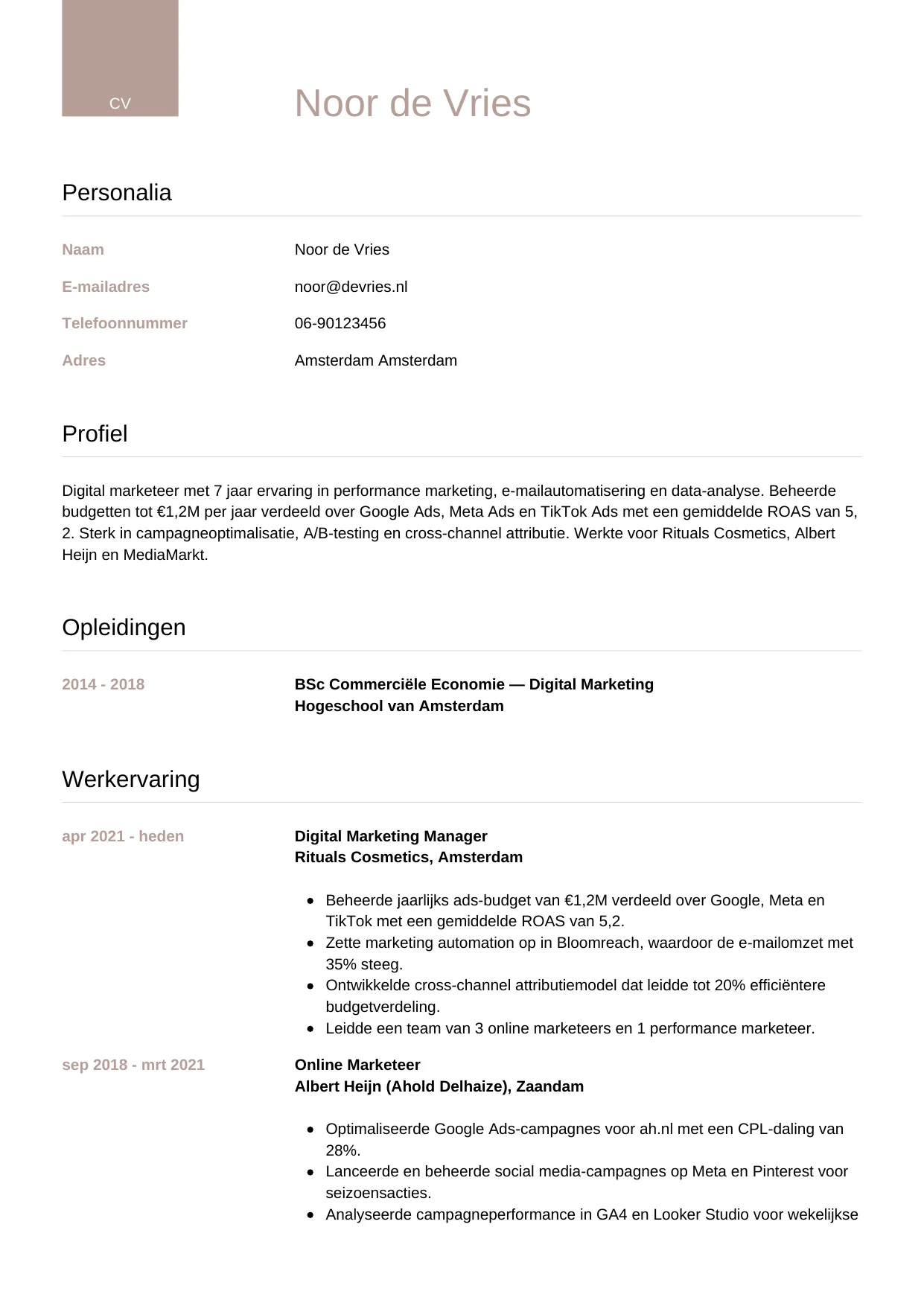 CV Luxe voor digital marketeer