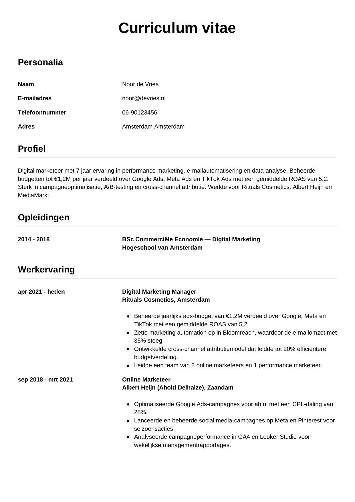 CV Simpel voor digital marketeer