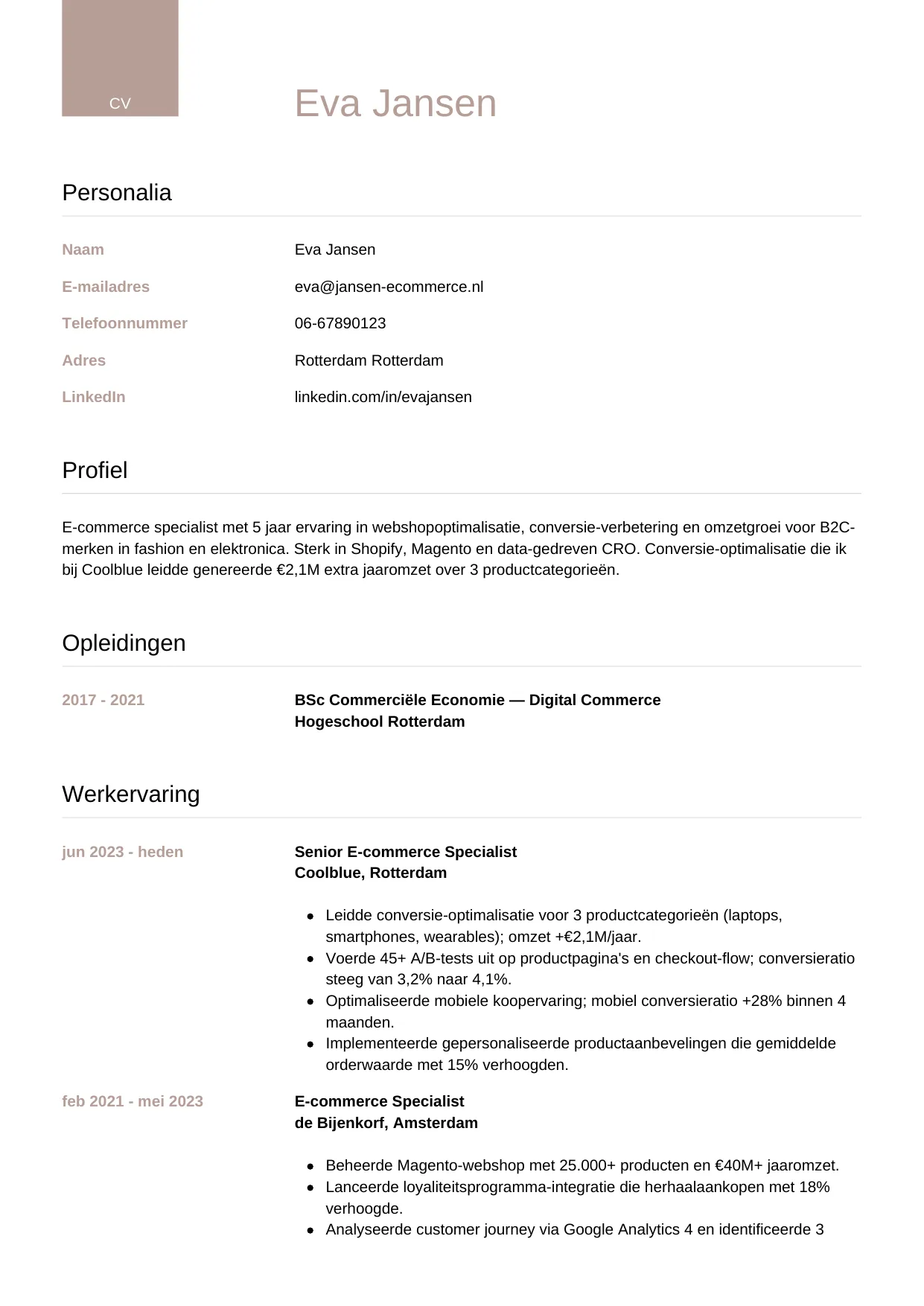 Voorbeeld CV voor e-commerce specialist in template Luxe. CV Luxe voor e-commerce specialist