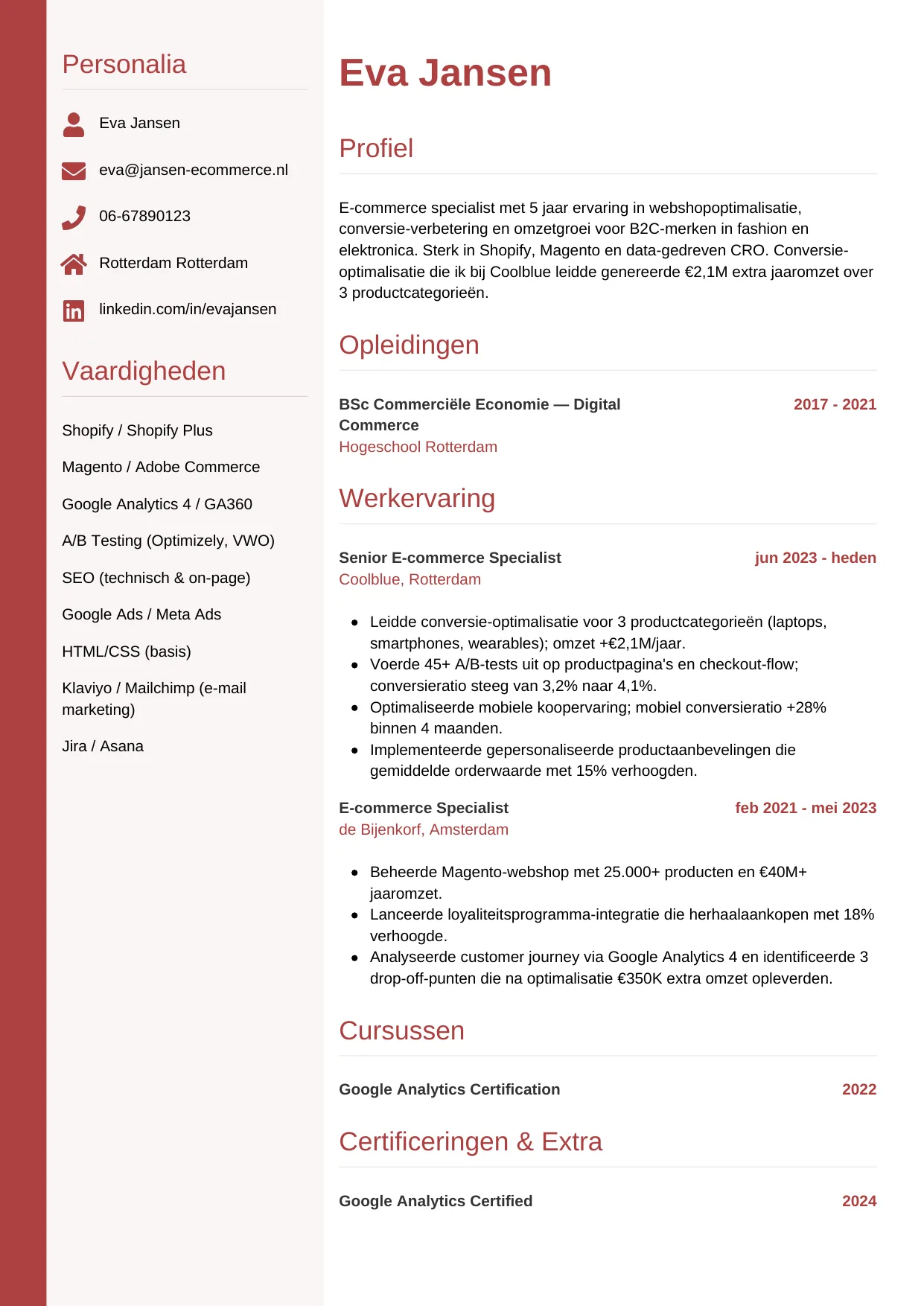 Voorbeeld CV voor e-commerce specialist in template Verticaal. CV Verticaal voor e-commerce specialist