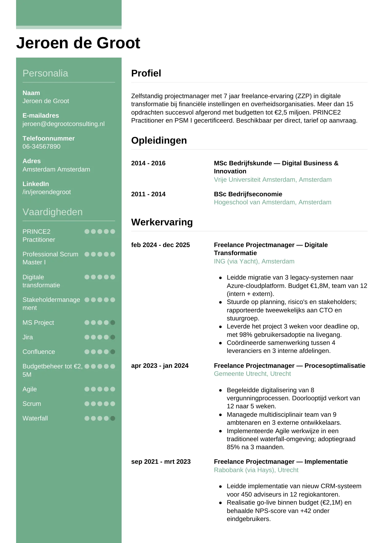 CV Casual voor freelancer