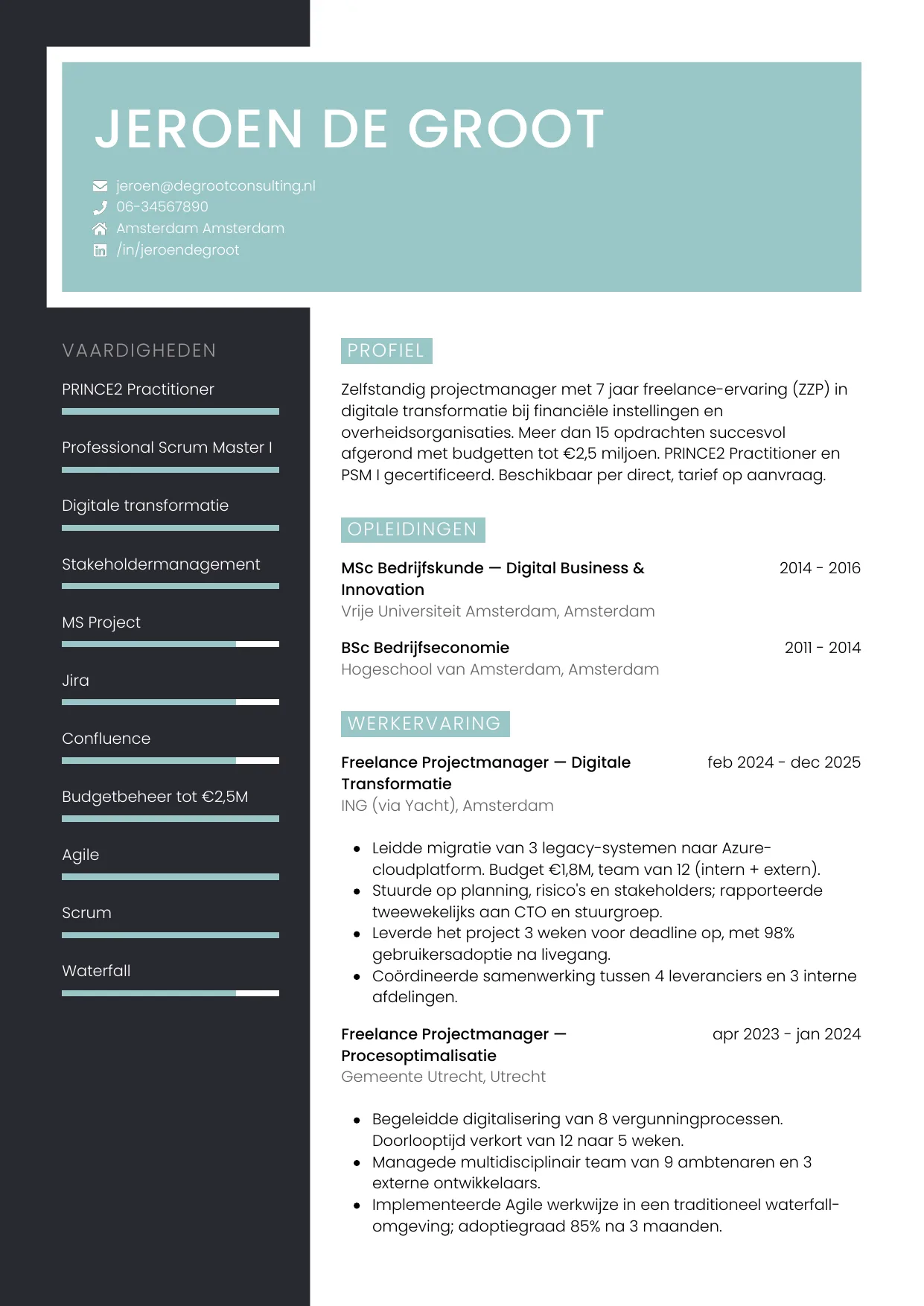 CV Elegant voor freelancer