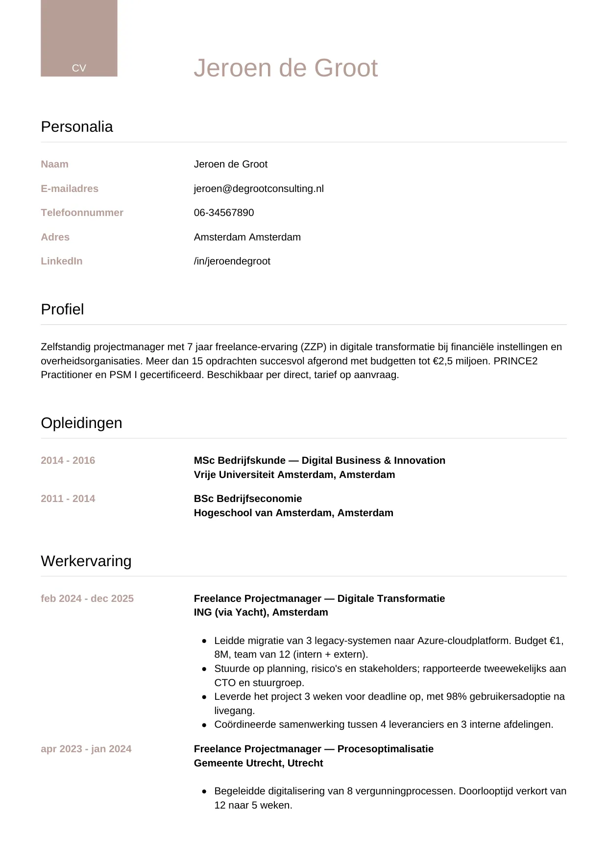 CV Luxe voor freelancer