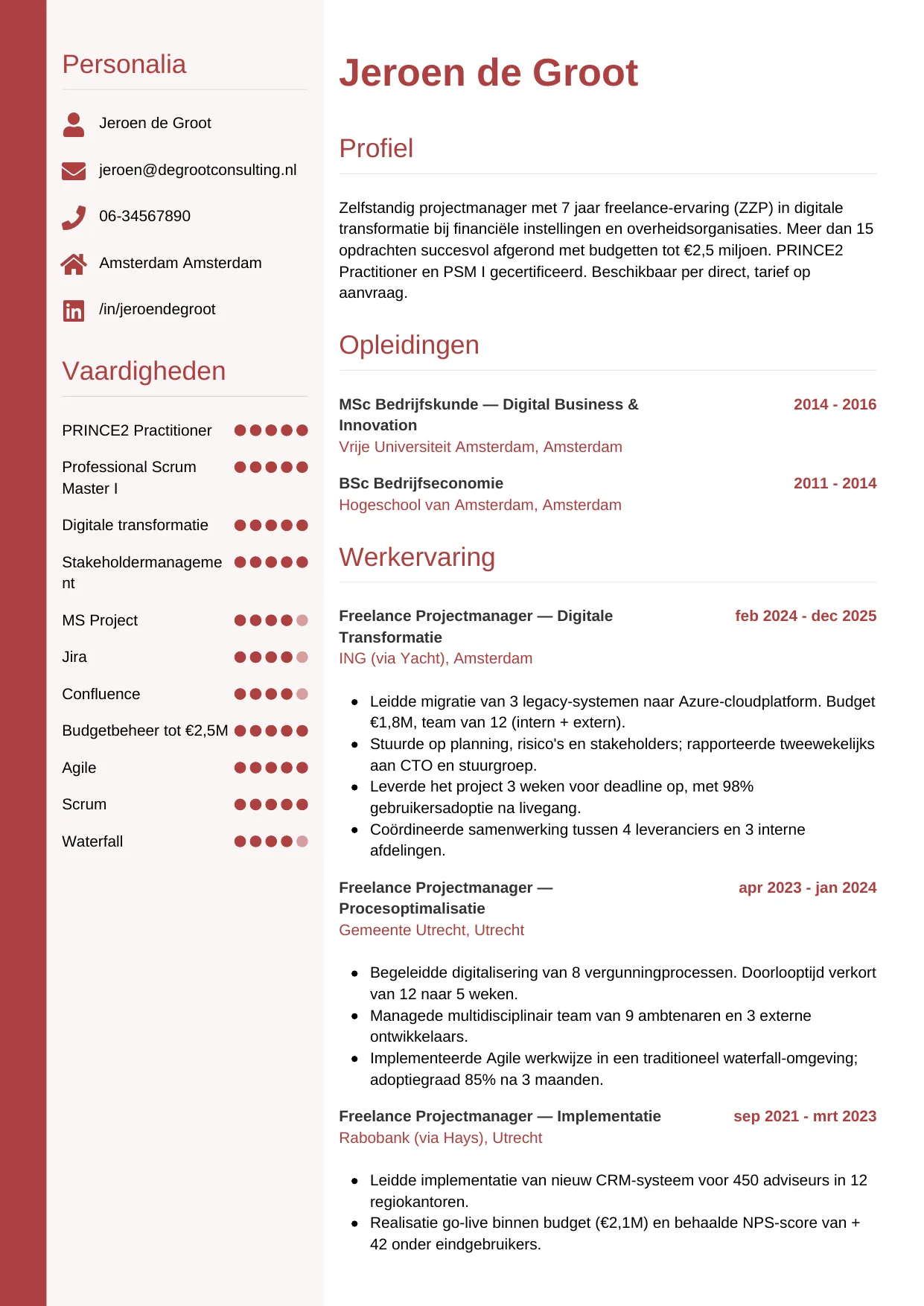 CV Verticaal voor freelancer