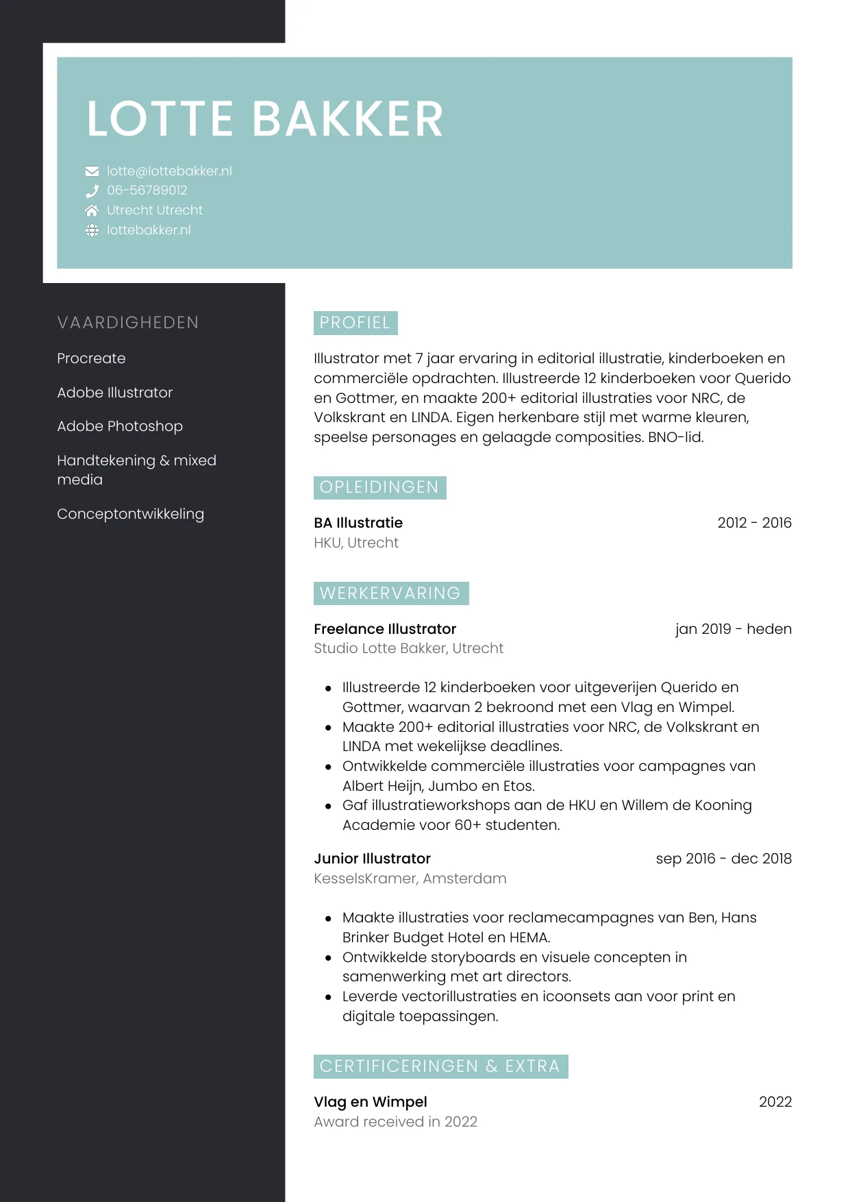 CV Elegant voor illustrator