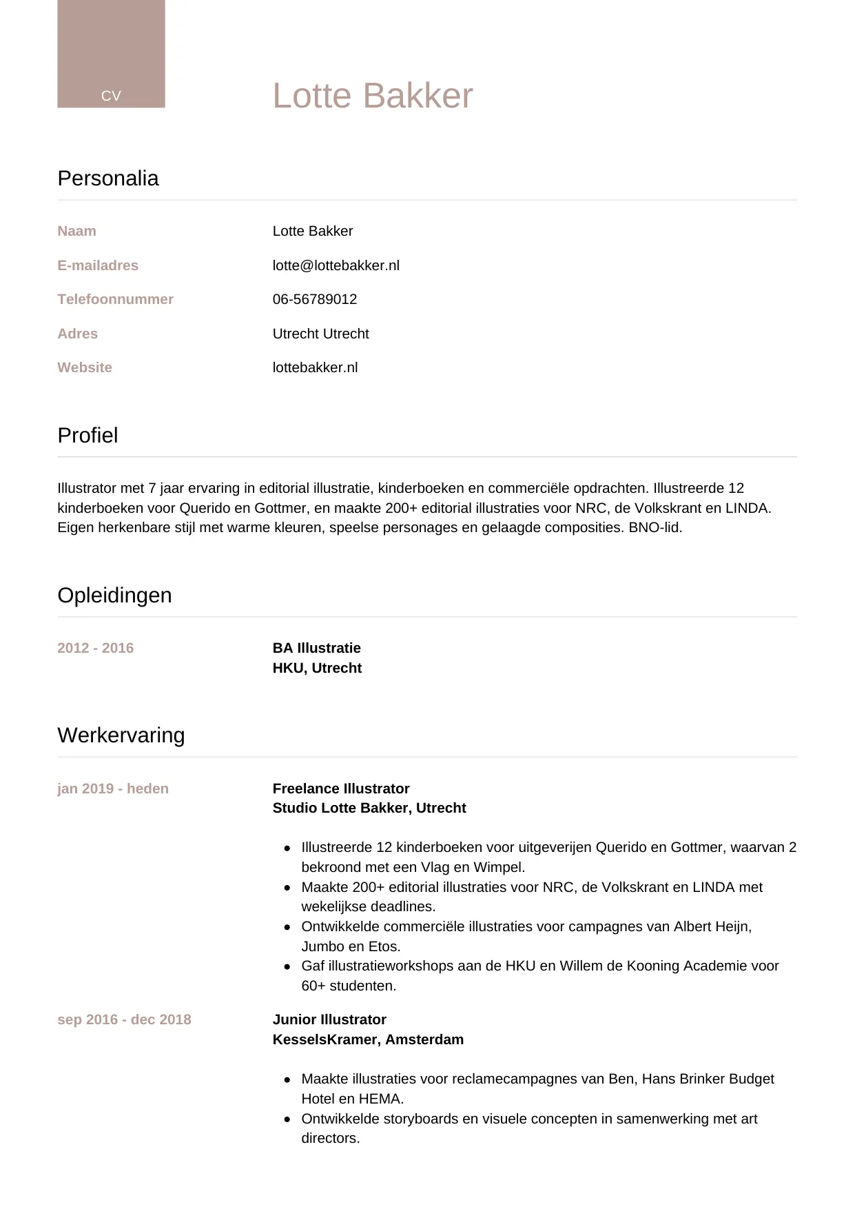 CV Luxe voor illustrator