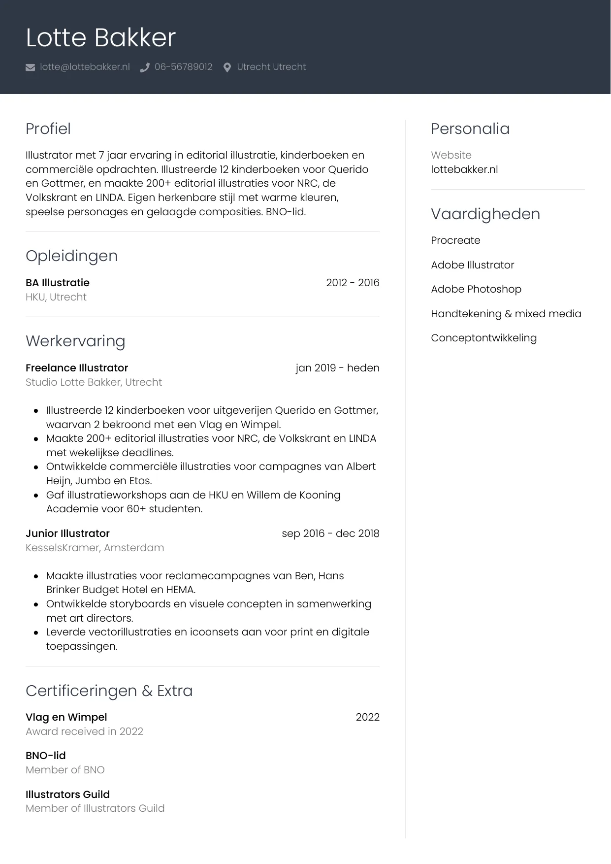 CV Professioneel voor illustrator