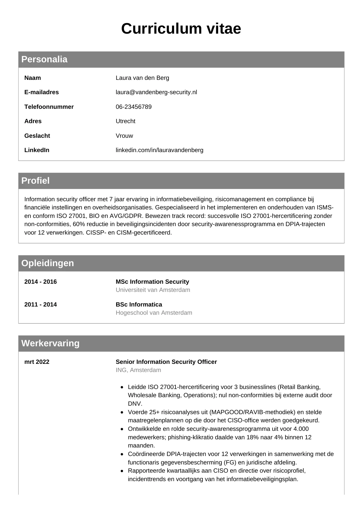 CV Klassiek voor information security officer