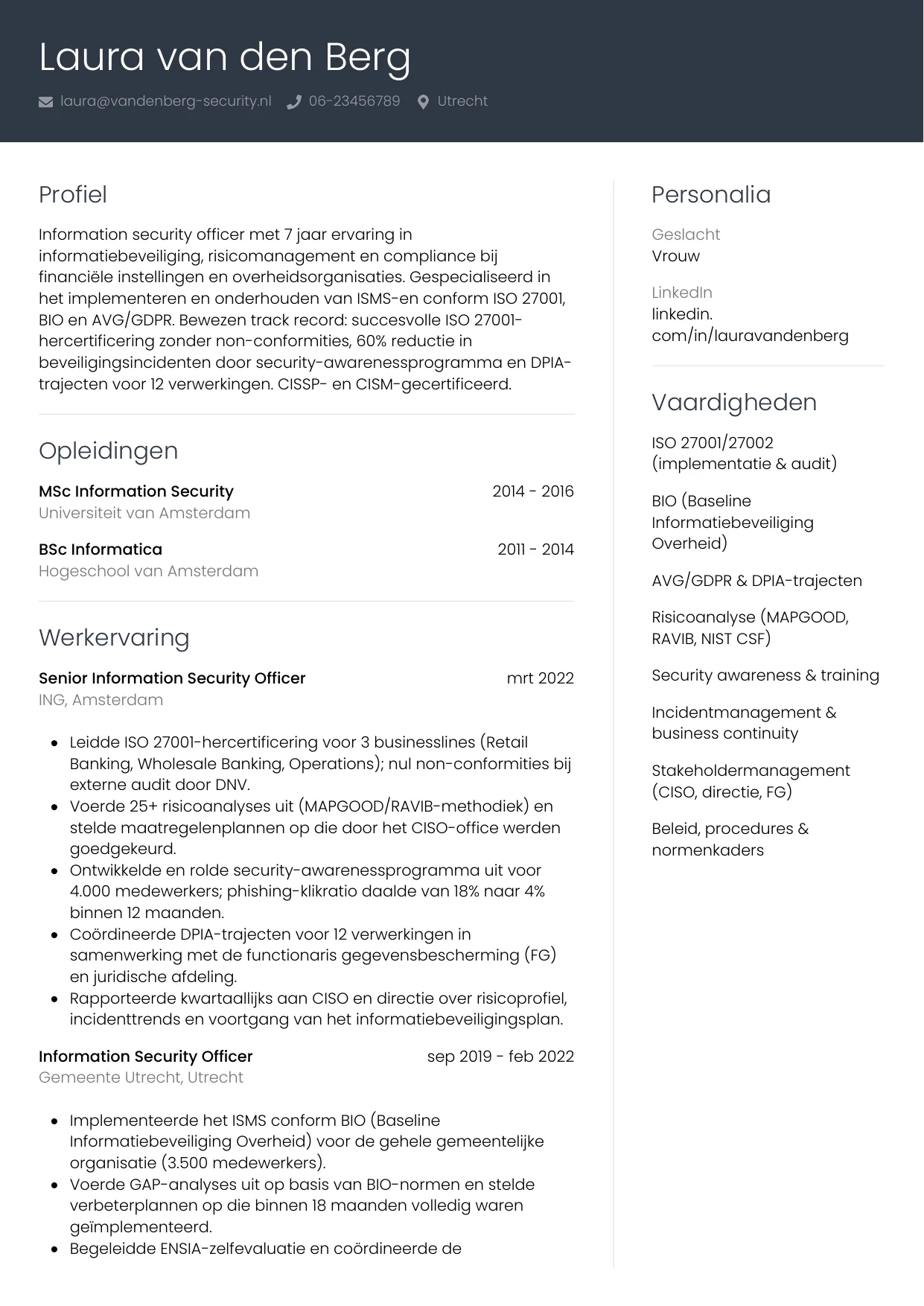 CV Professioneel voor information security officer
