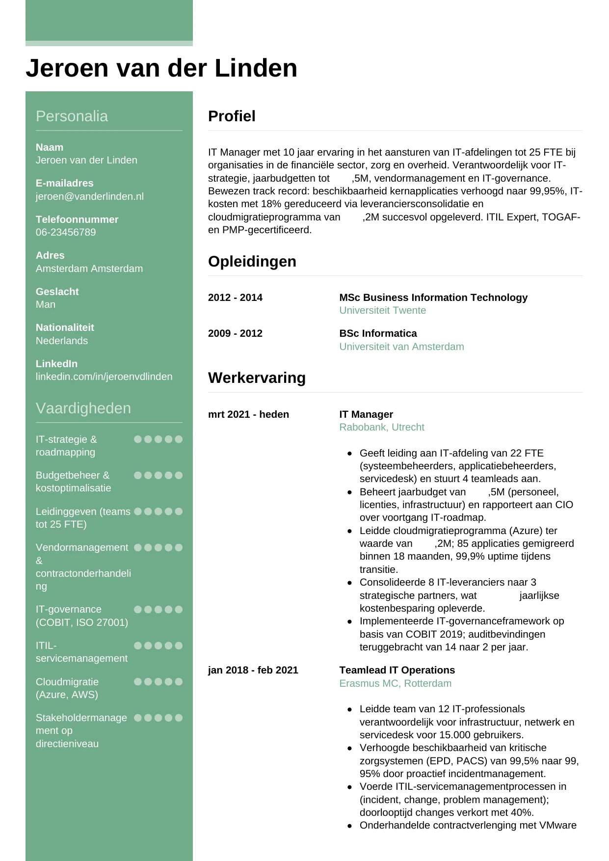 CV Casual voor it manager