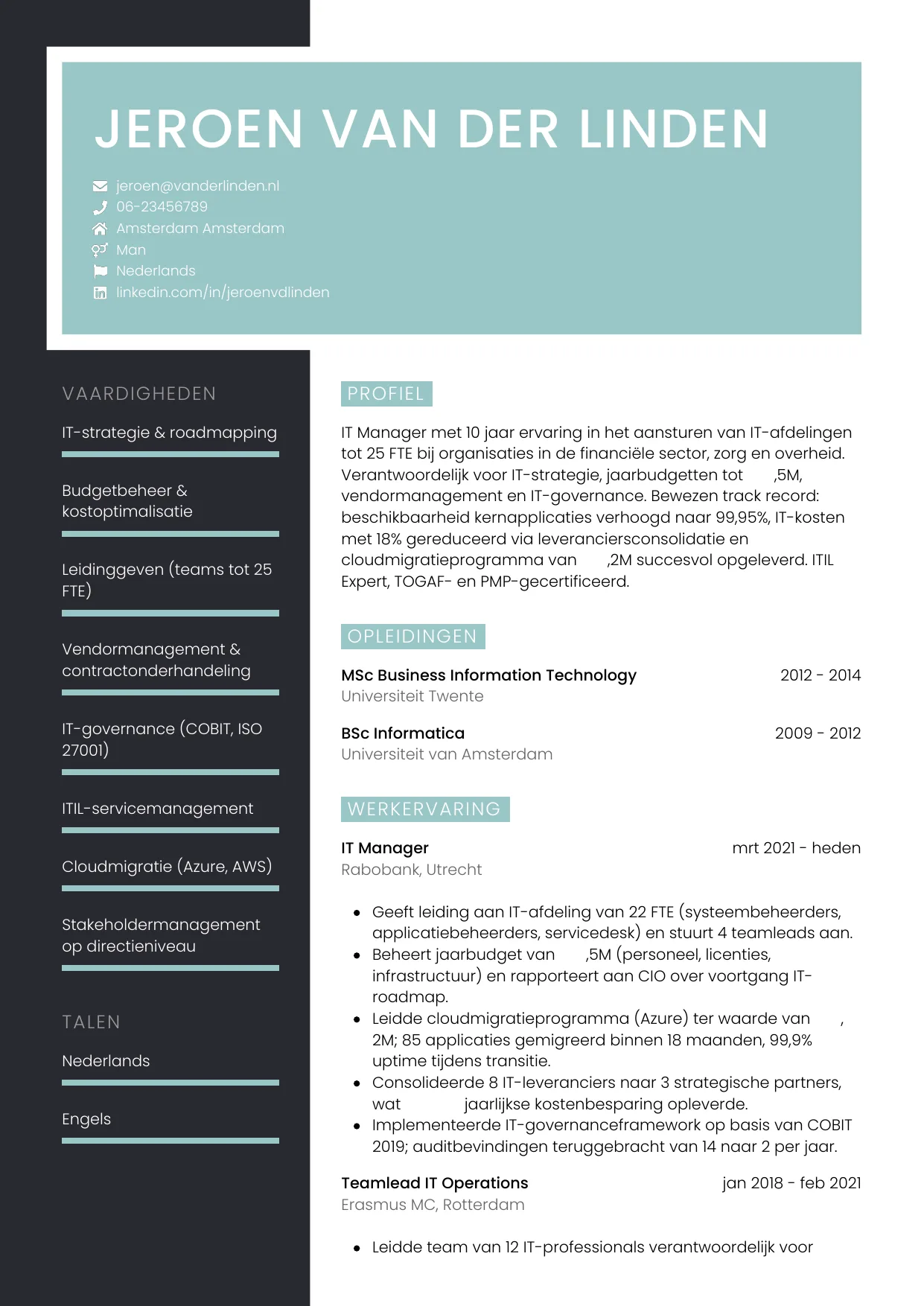CV Elegant voor it manager