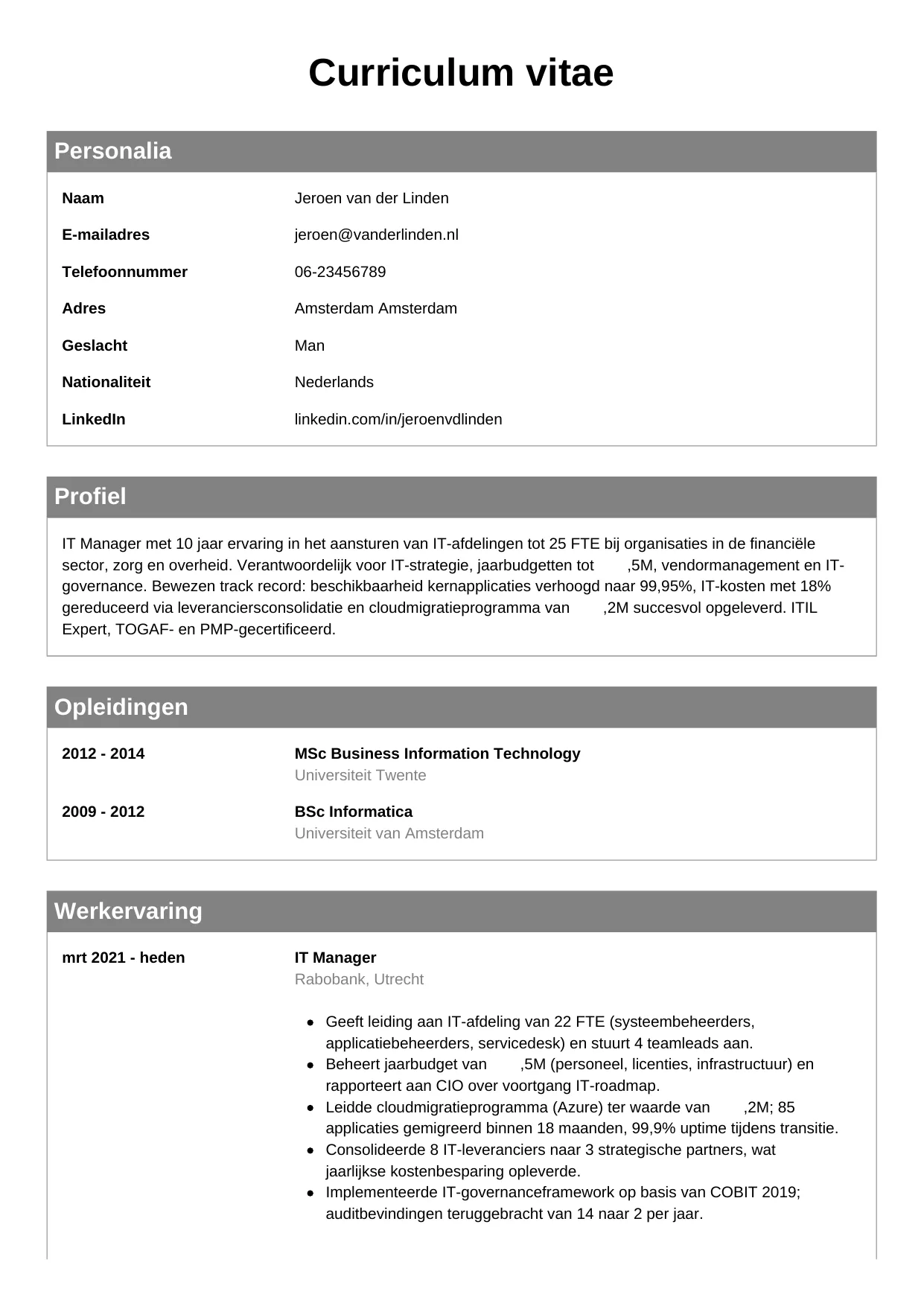 CV Klassiek voor it manager