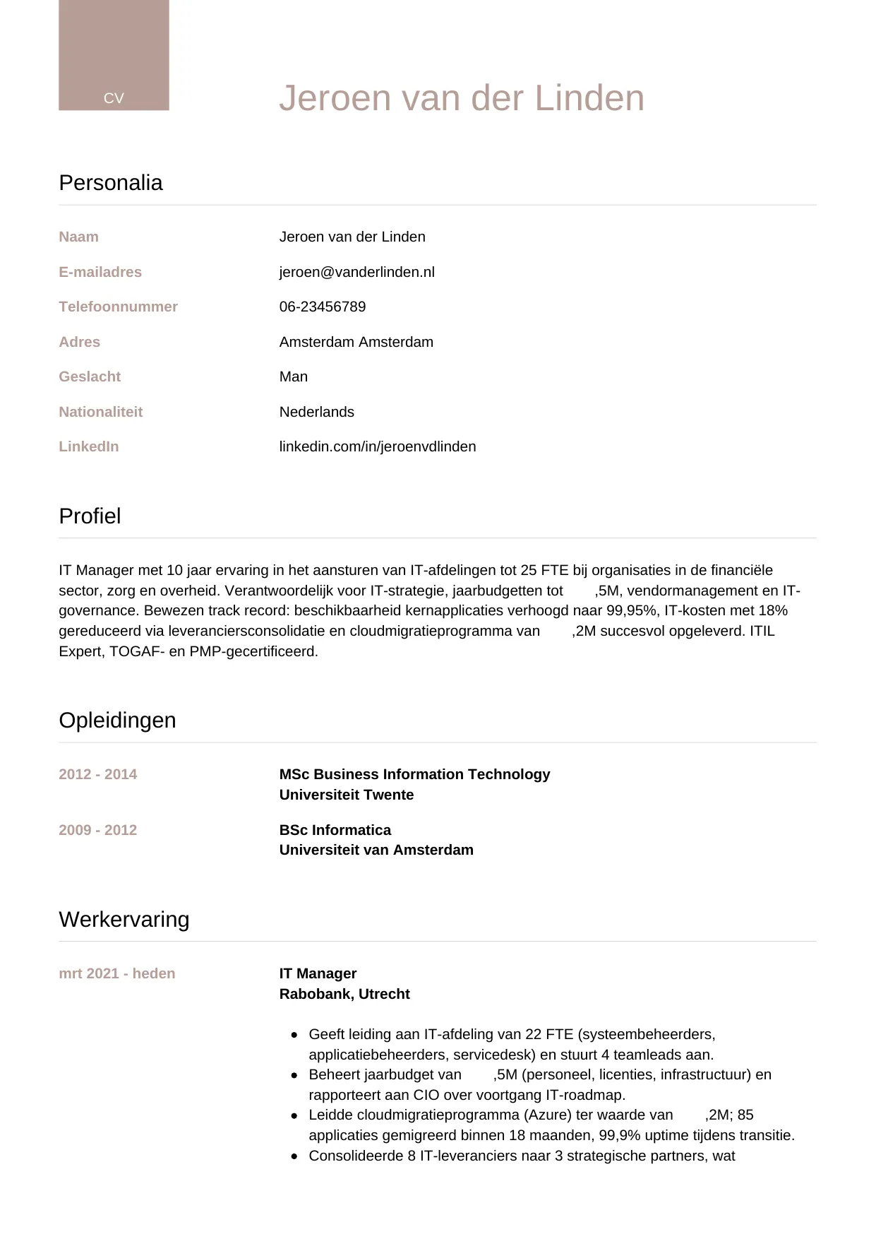 CV Luxe voor it manager
