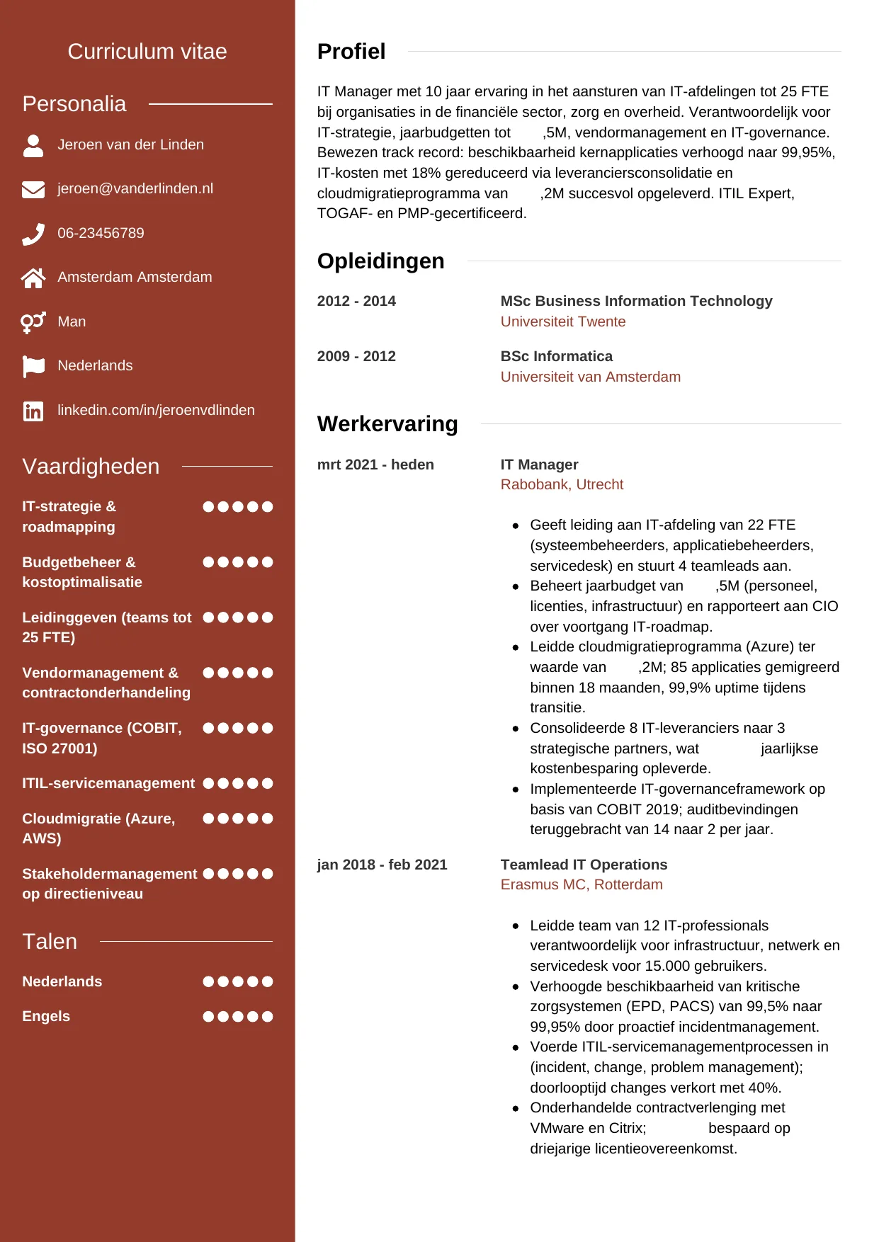 CV Modern voor it manager