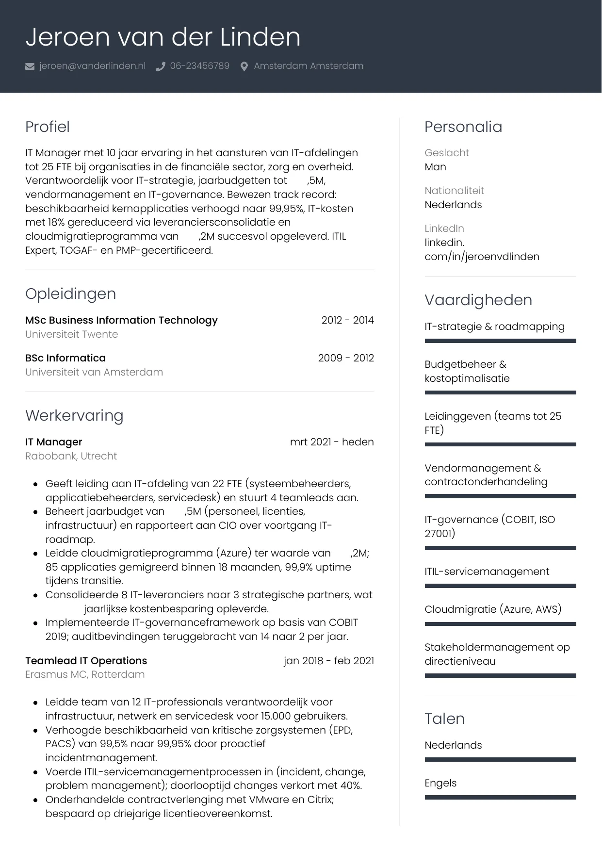 CV Professioneel voor it manager
