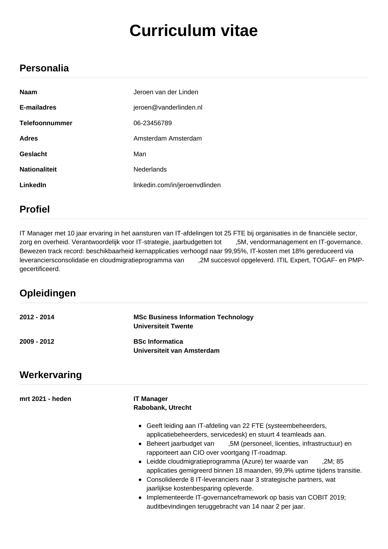 CV Simpel voor it manager