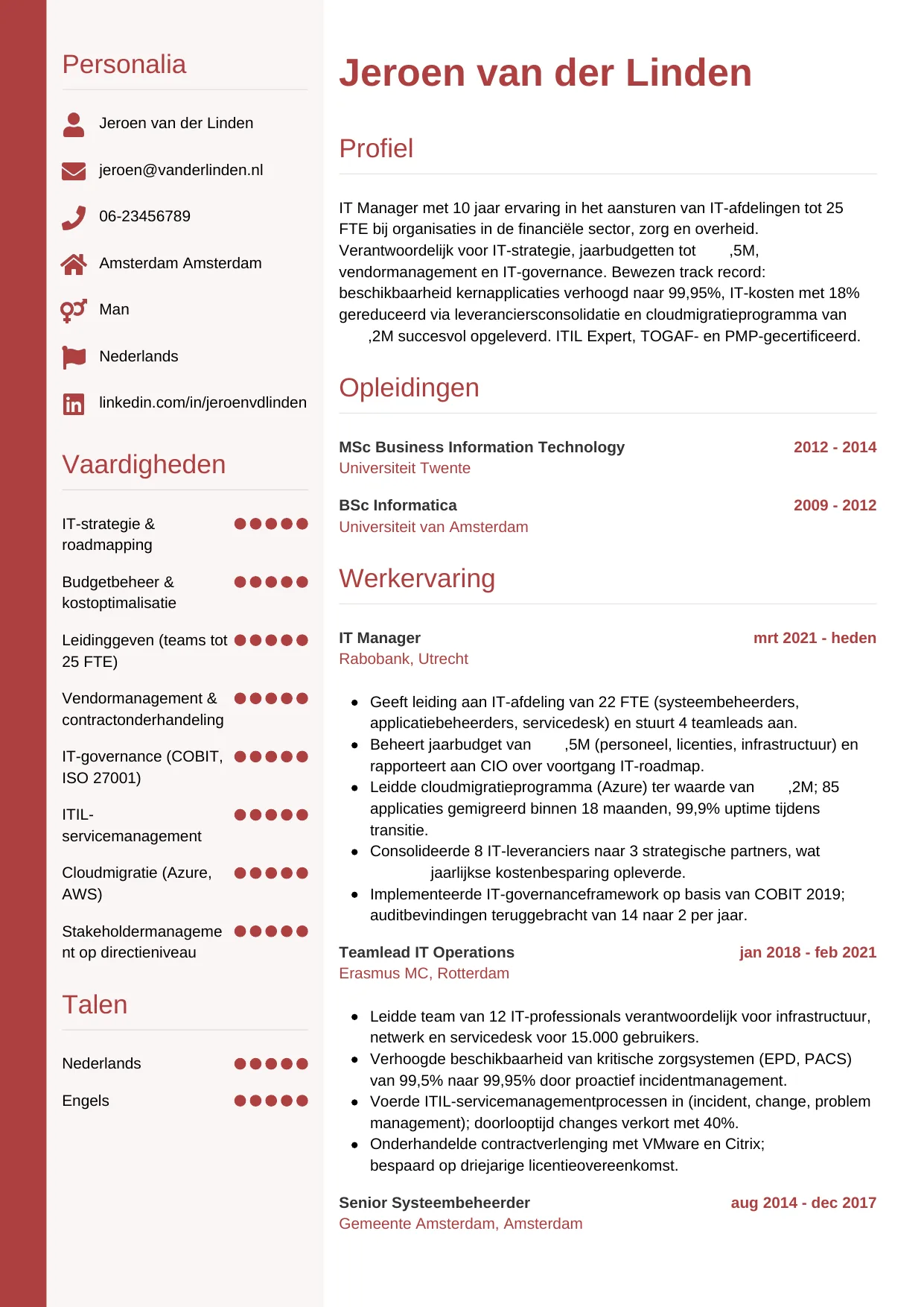 CV Verticaal voor it manager