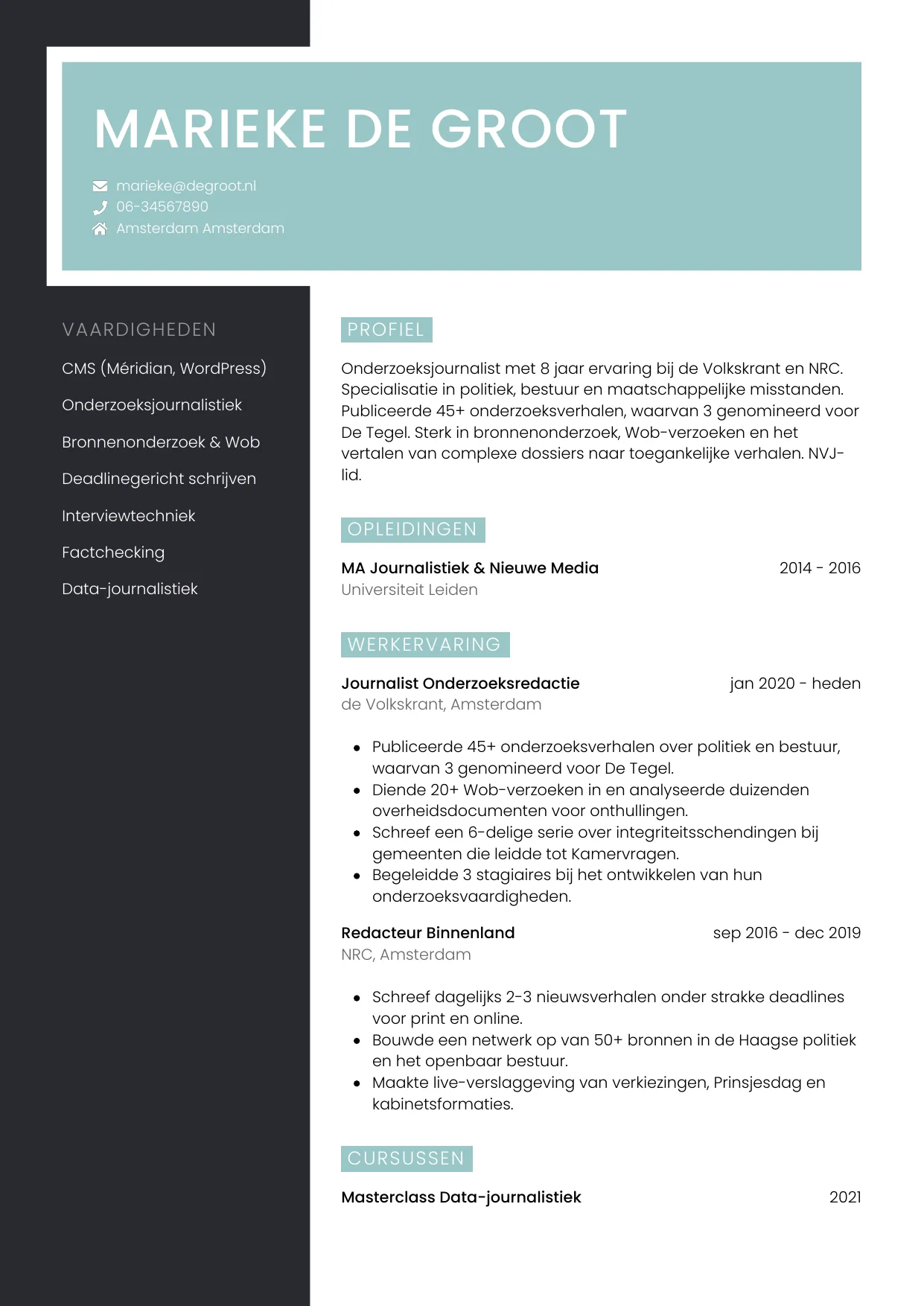 CV Elegant voor journalist