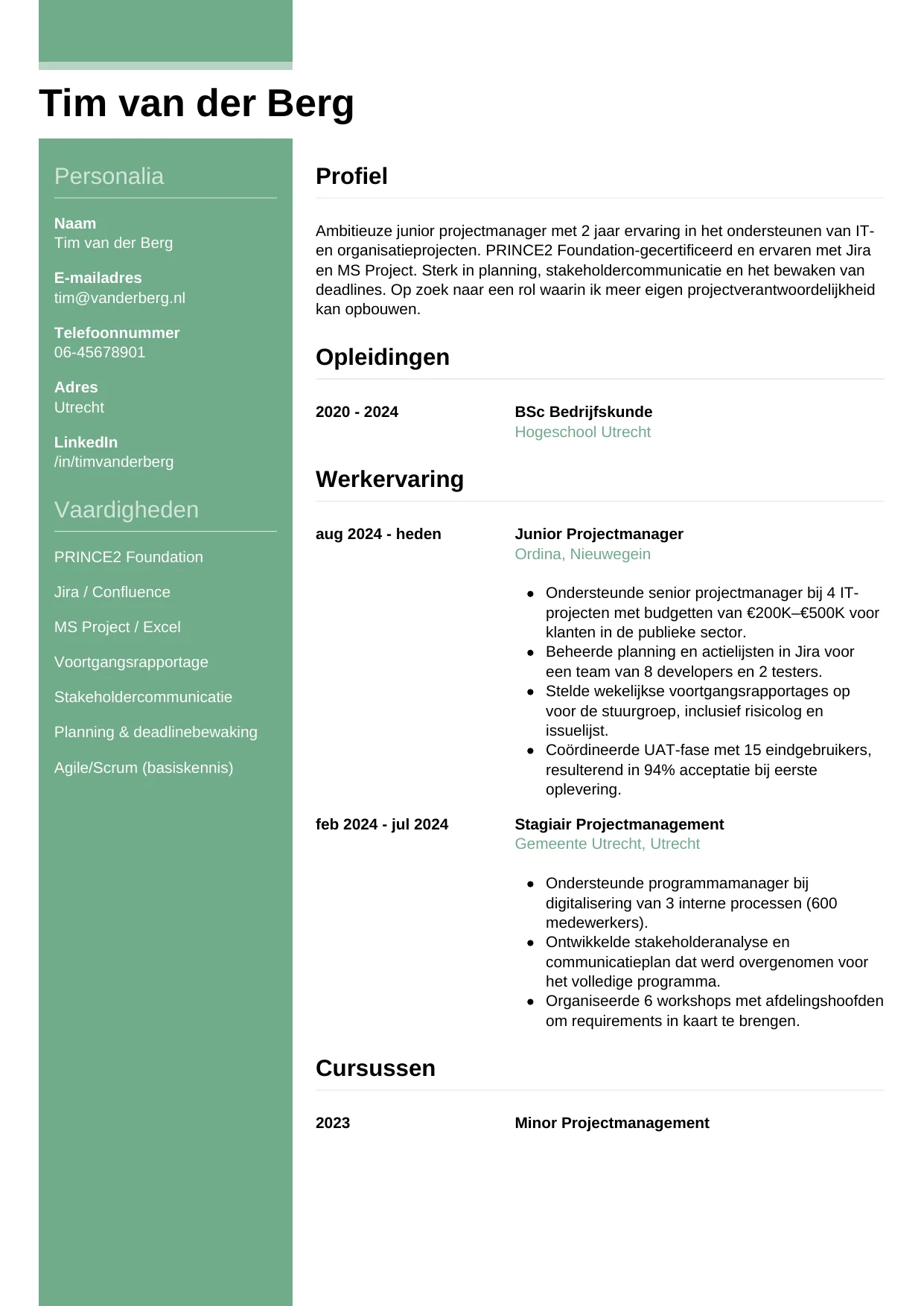 CV Casual voor junior projectmanager