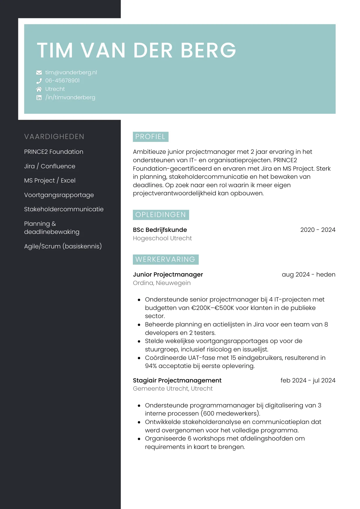 CV Elegant voor junior projectmanager