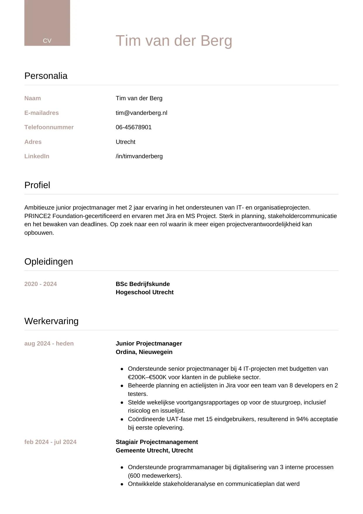 CV Luxe voor junior projectmanager