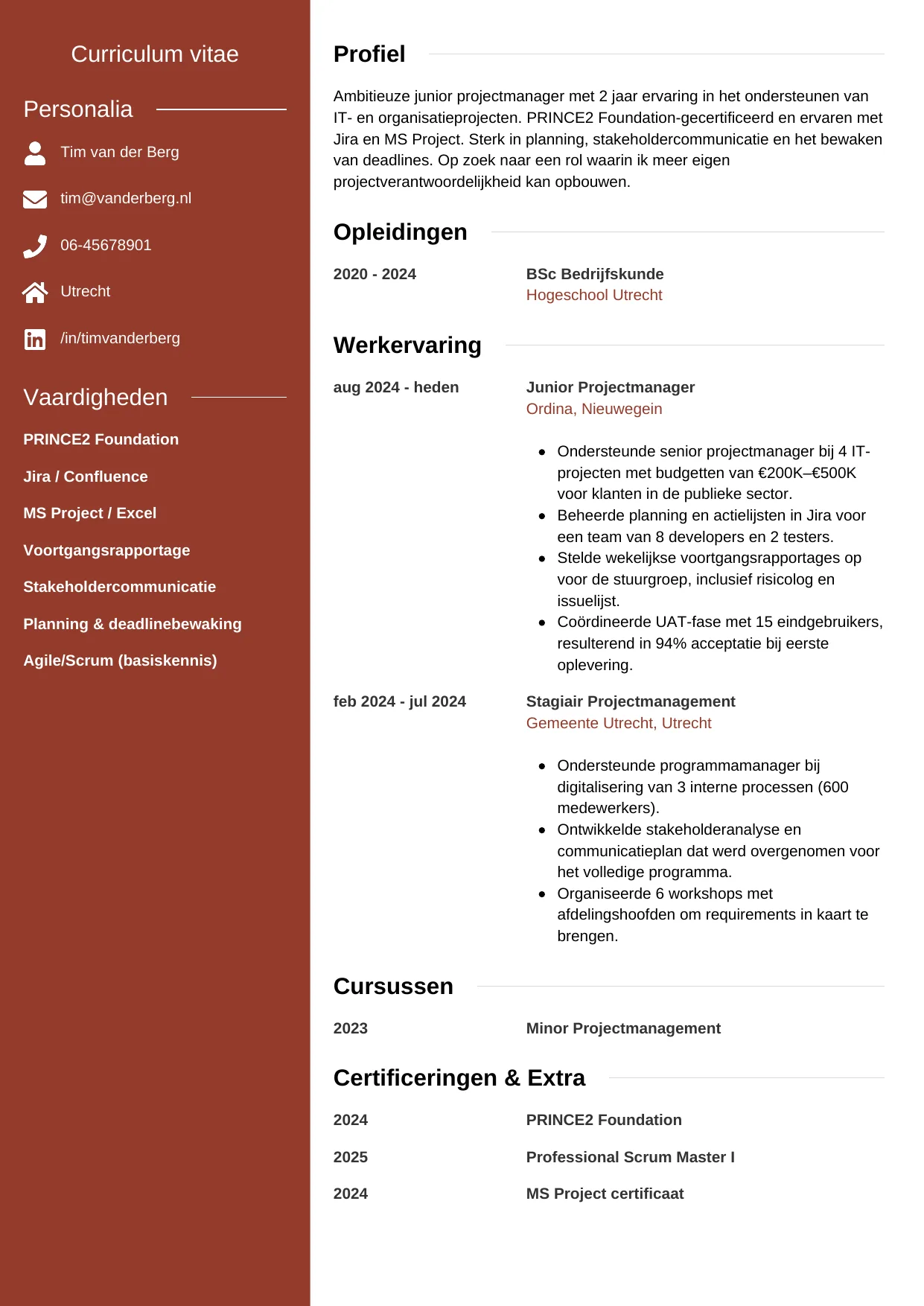 CV Modern voor junior projectmanager