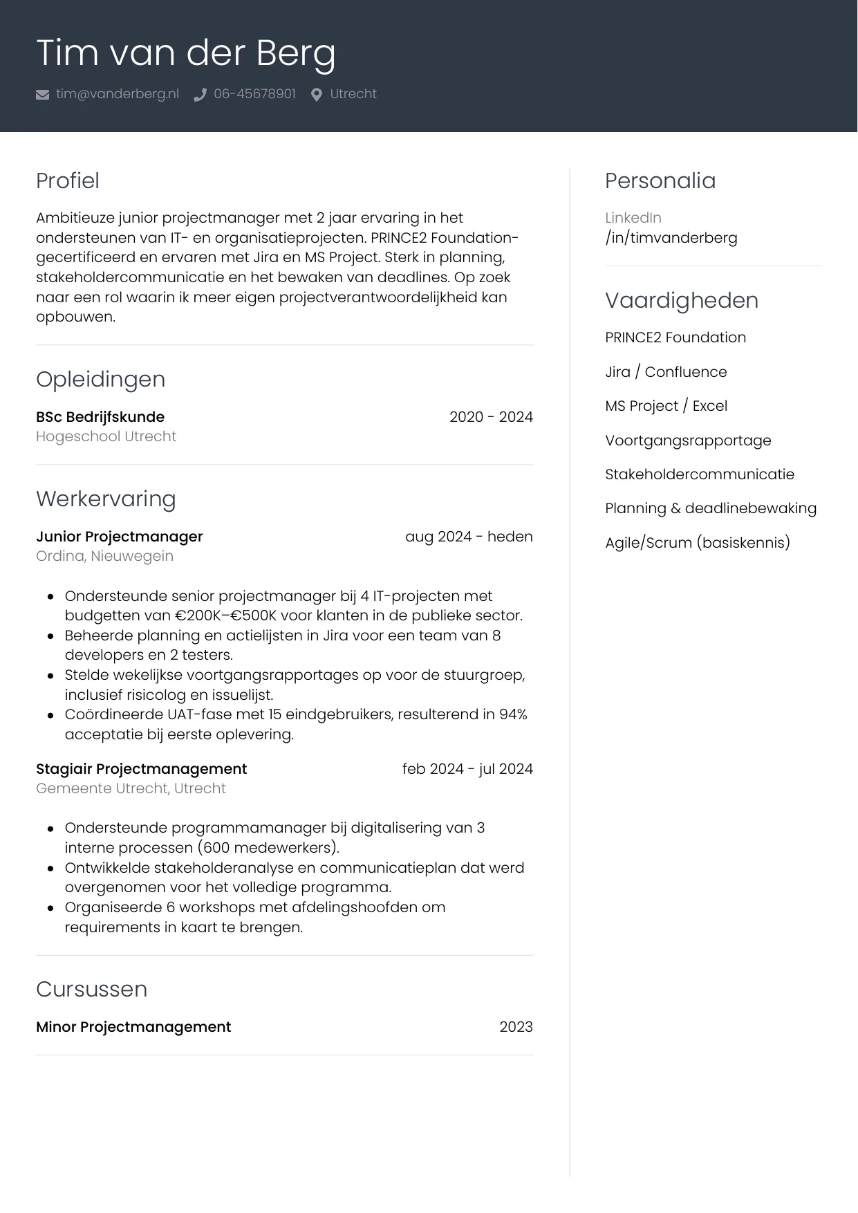 CV Professioneel voor junior projectmanager