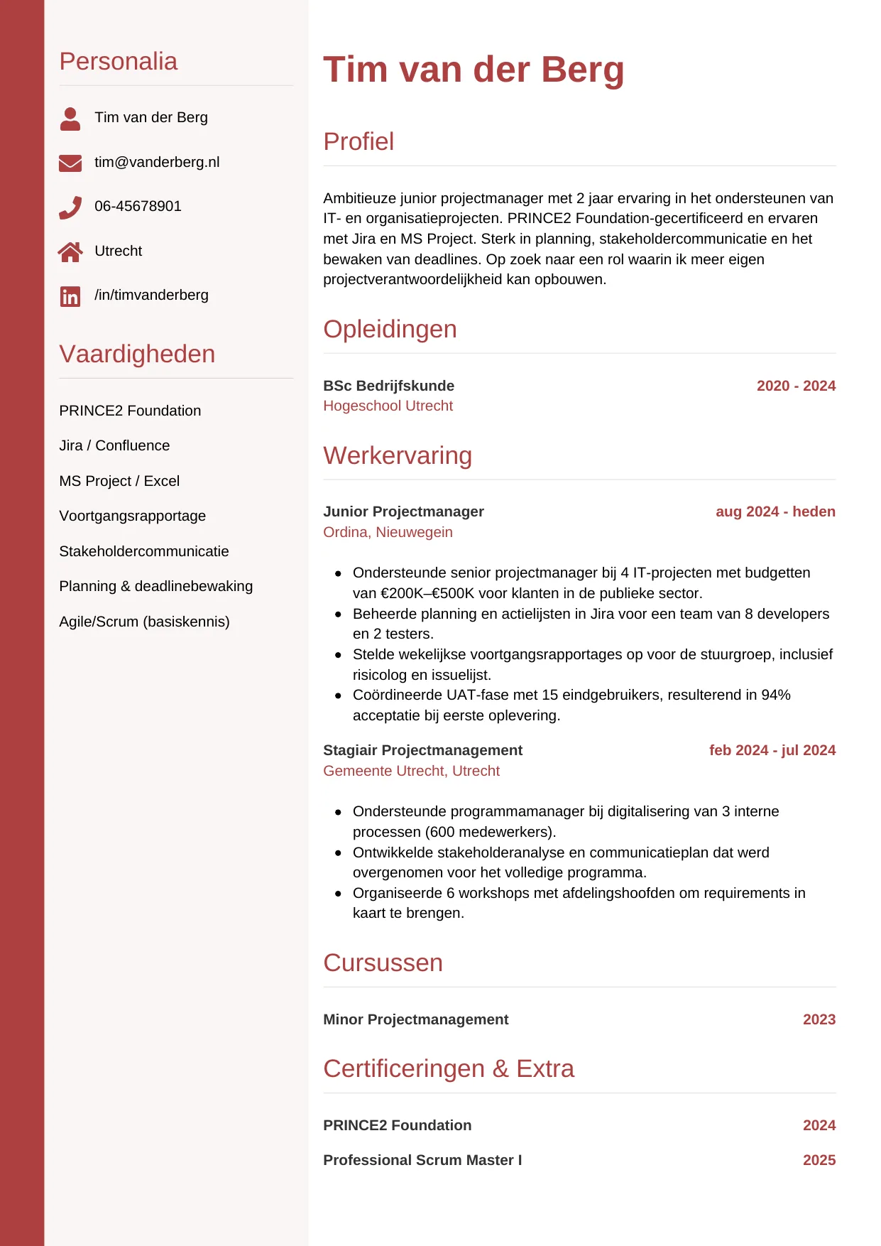 CV Verticaal voor junior projectmanager