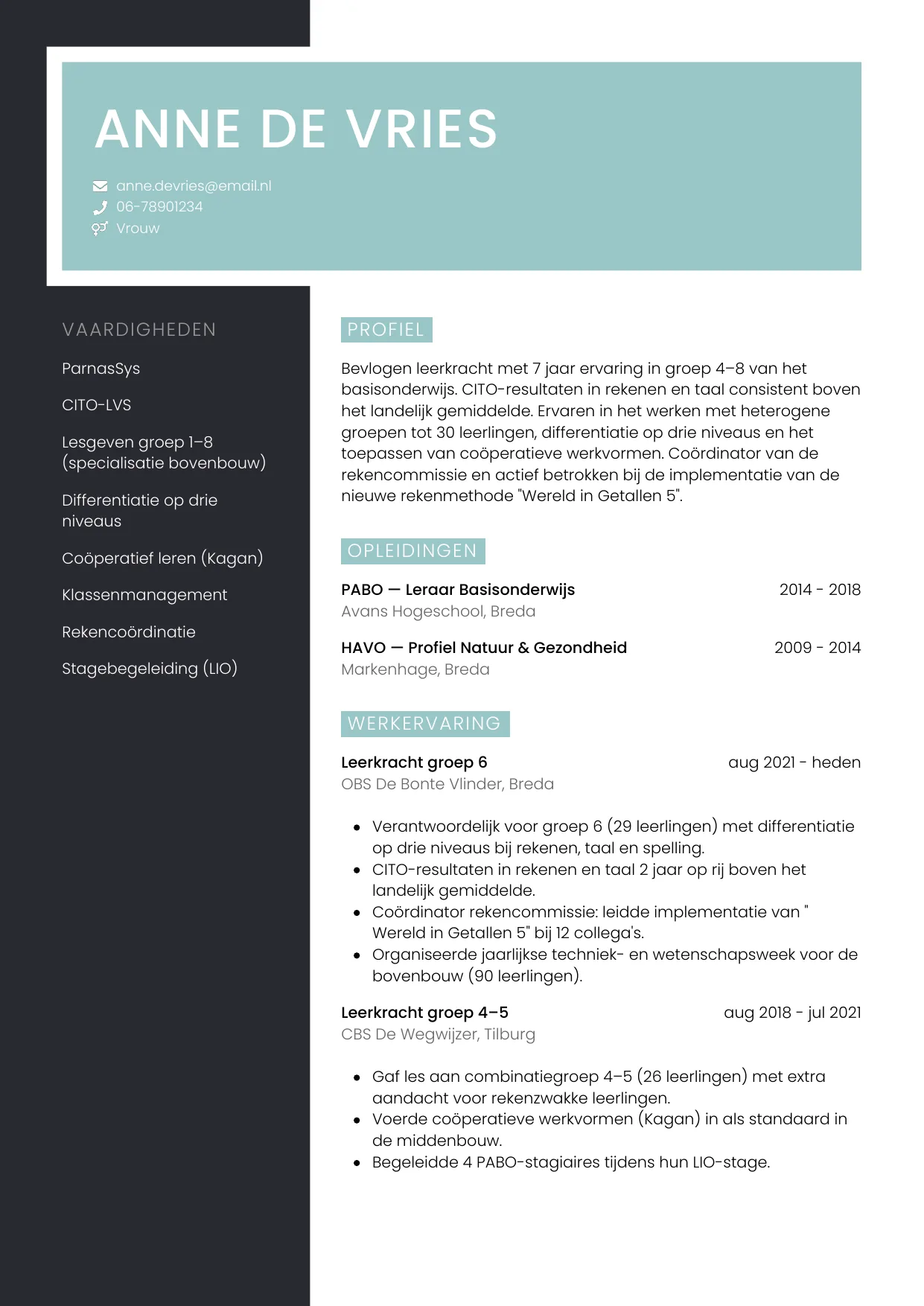 CV Elegant voor leerkracht