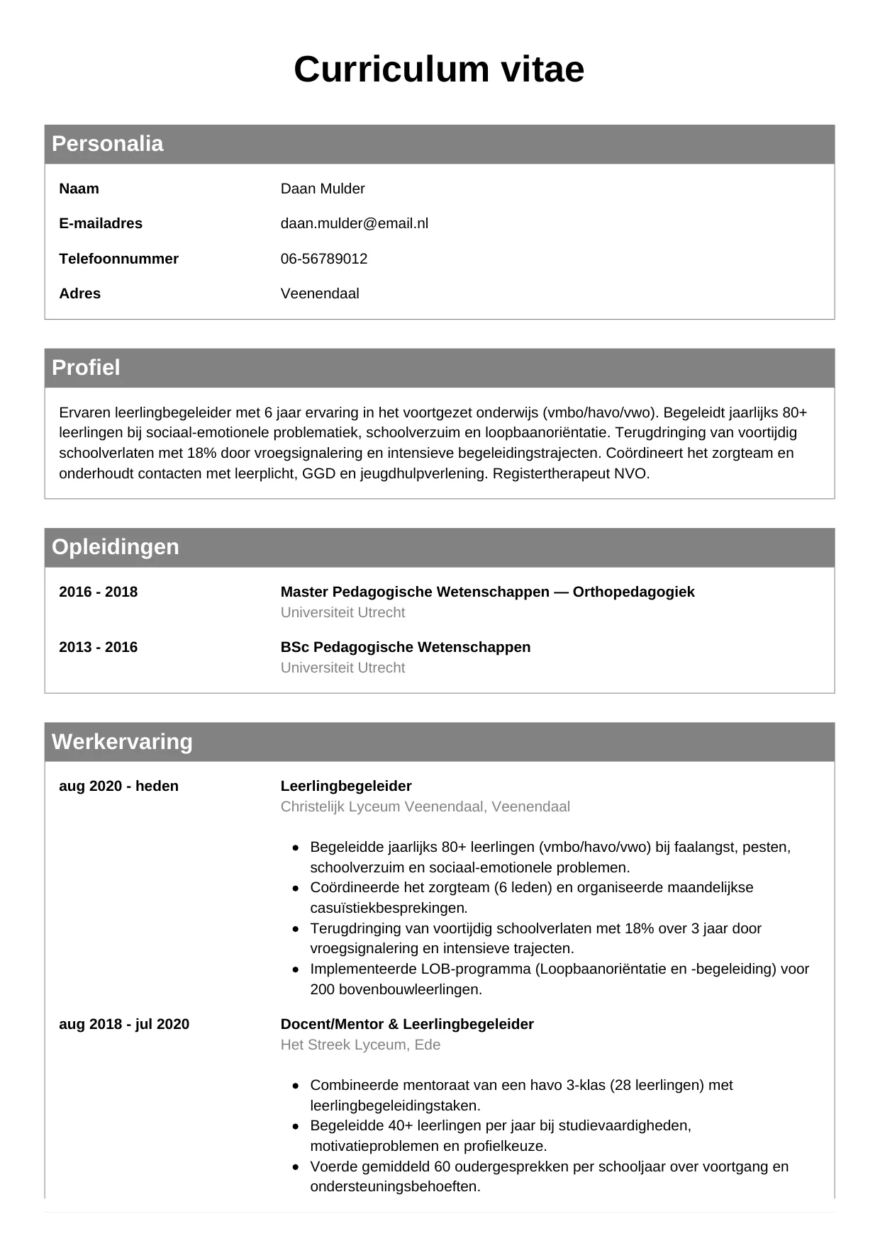 CV Klassiek voor leerlingbegeleider
