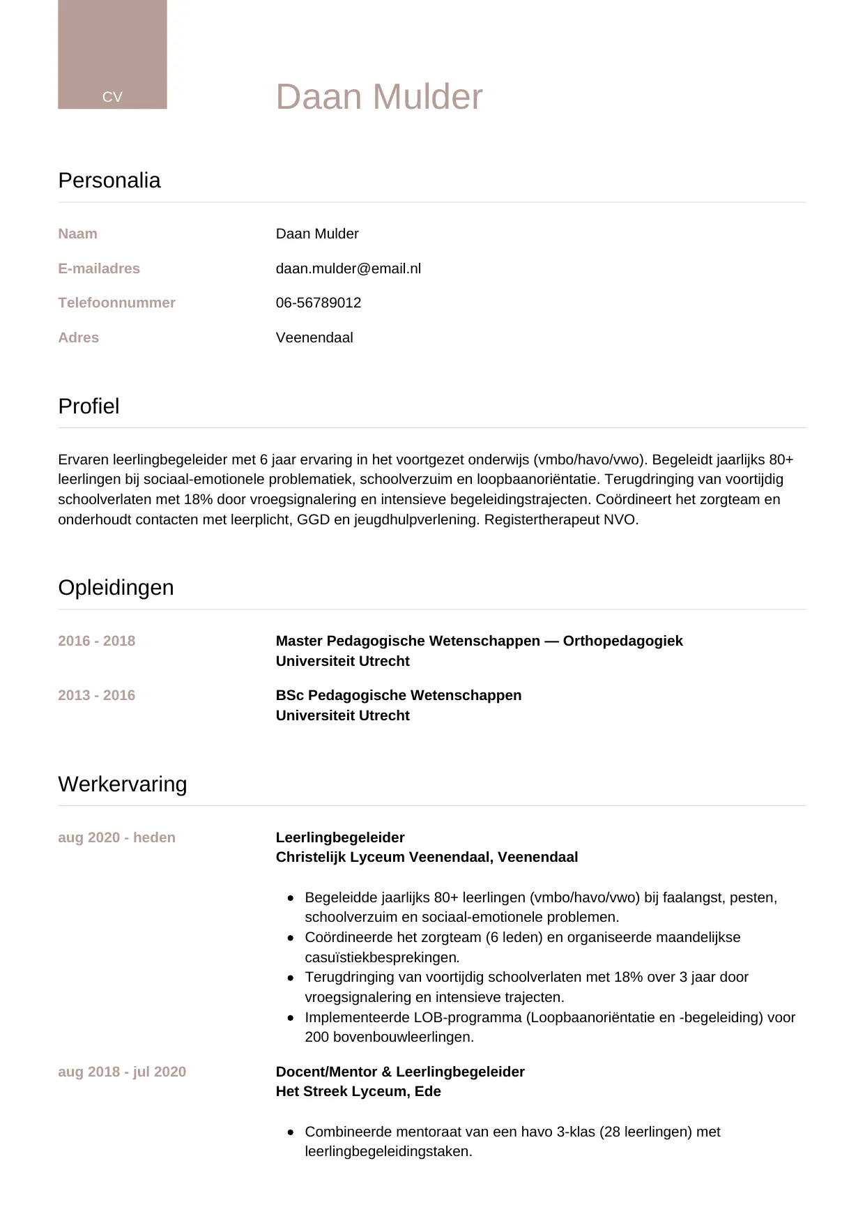CV Luxe voor leerlingbegeleider