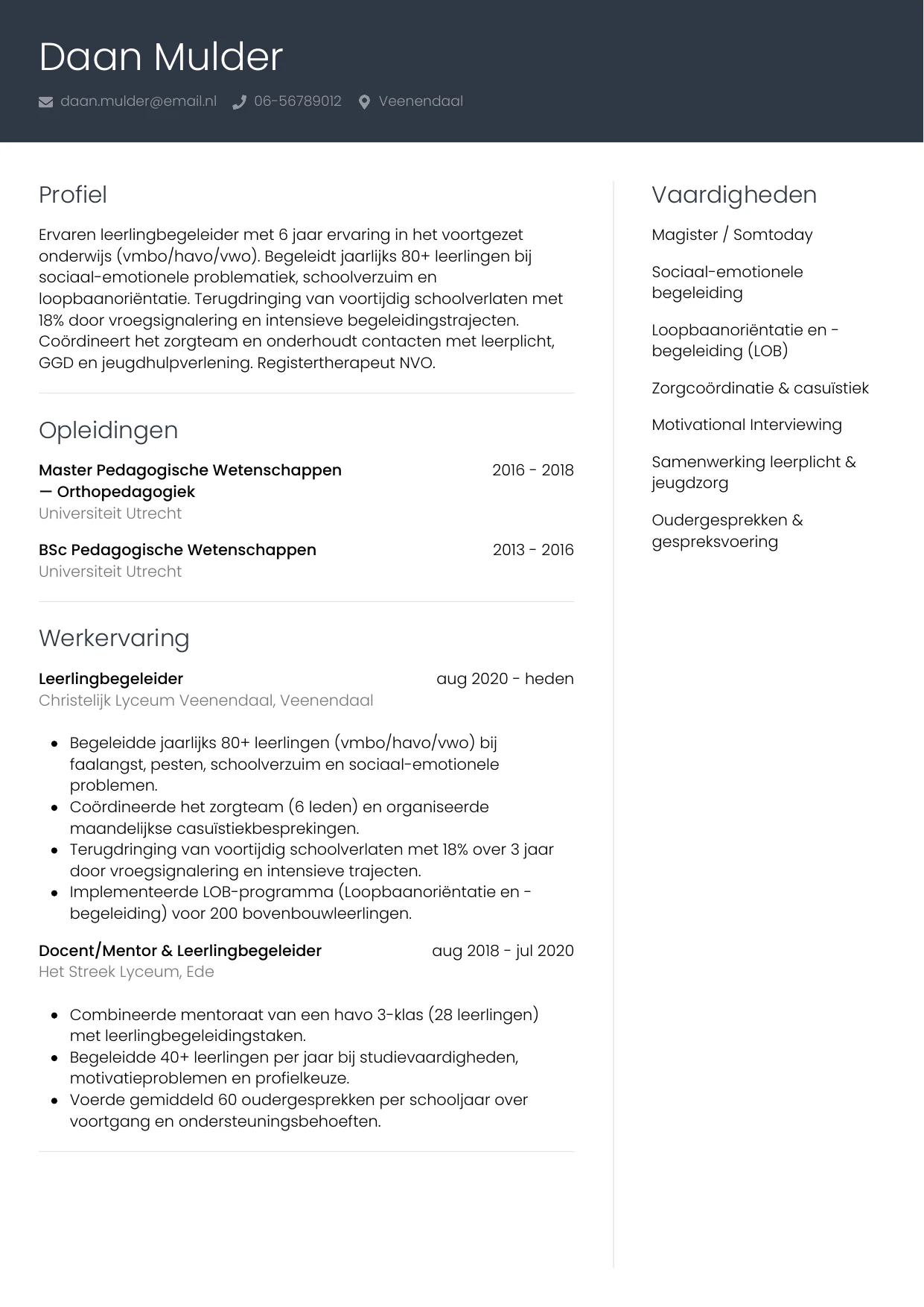 CV Professioneel voor leerlingbegeleider