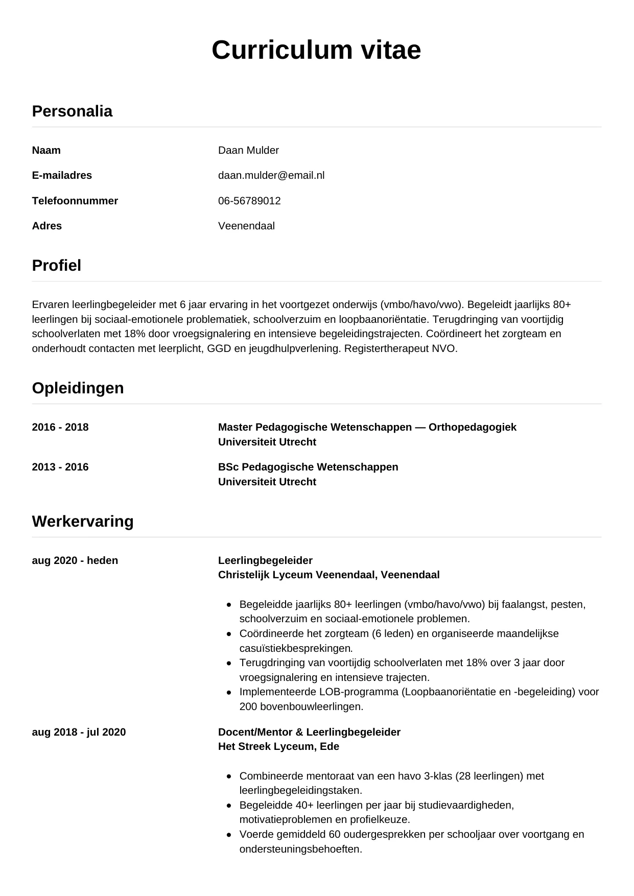 CV Simpel voor leerlingbegeleider