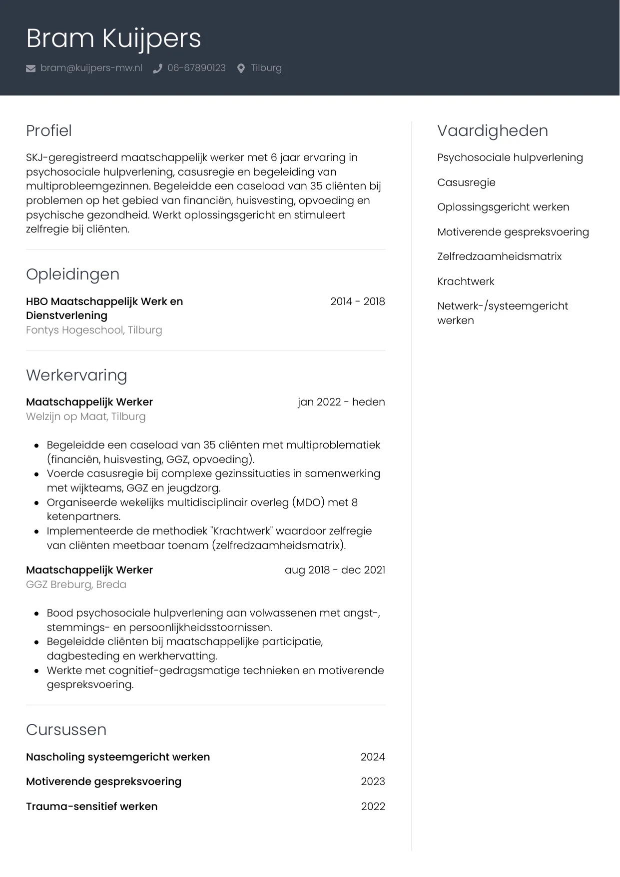 CV Professioneel voor maatschappelijk werker