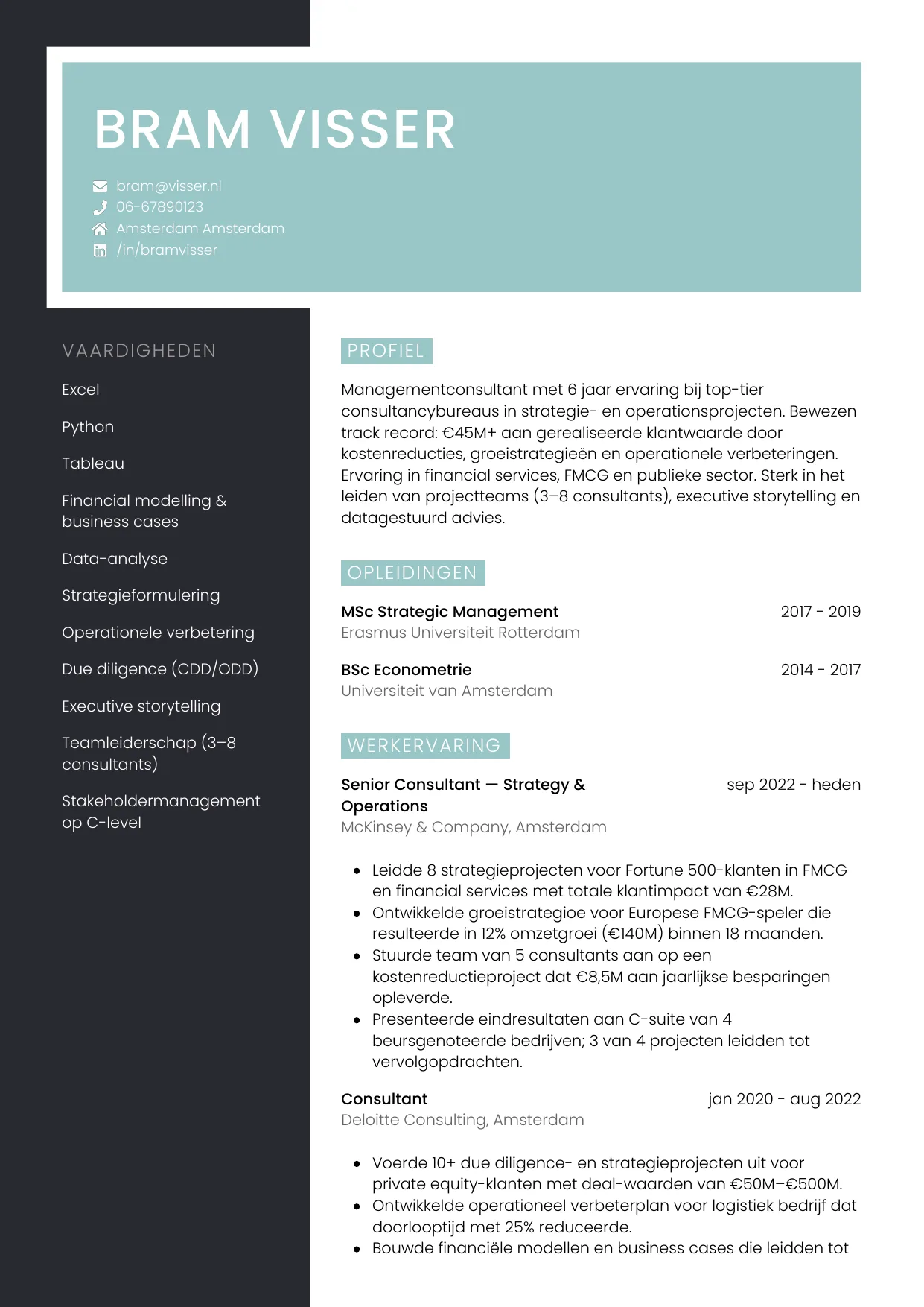 CV Elegant voor managementconsultant