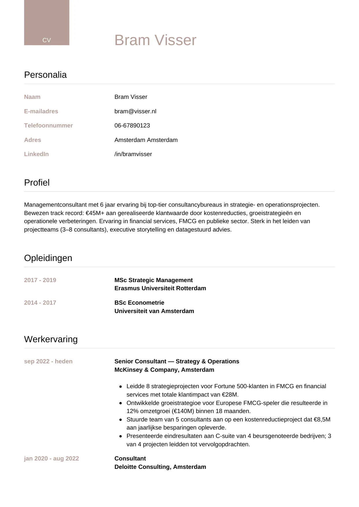 CV Luxe voor managementconsultant
