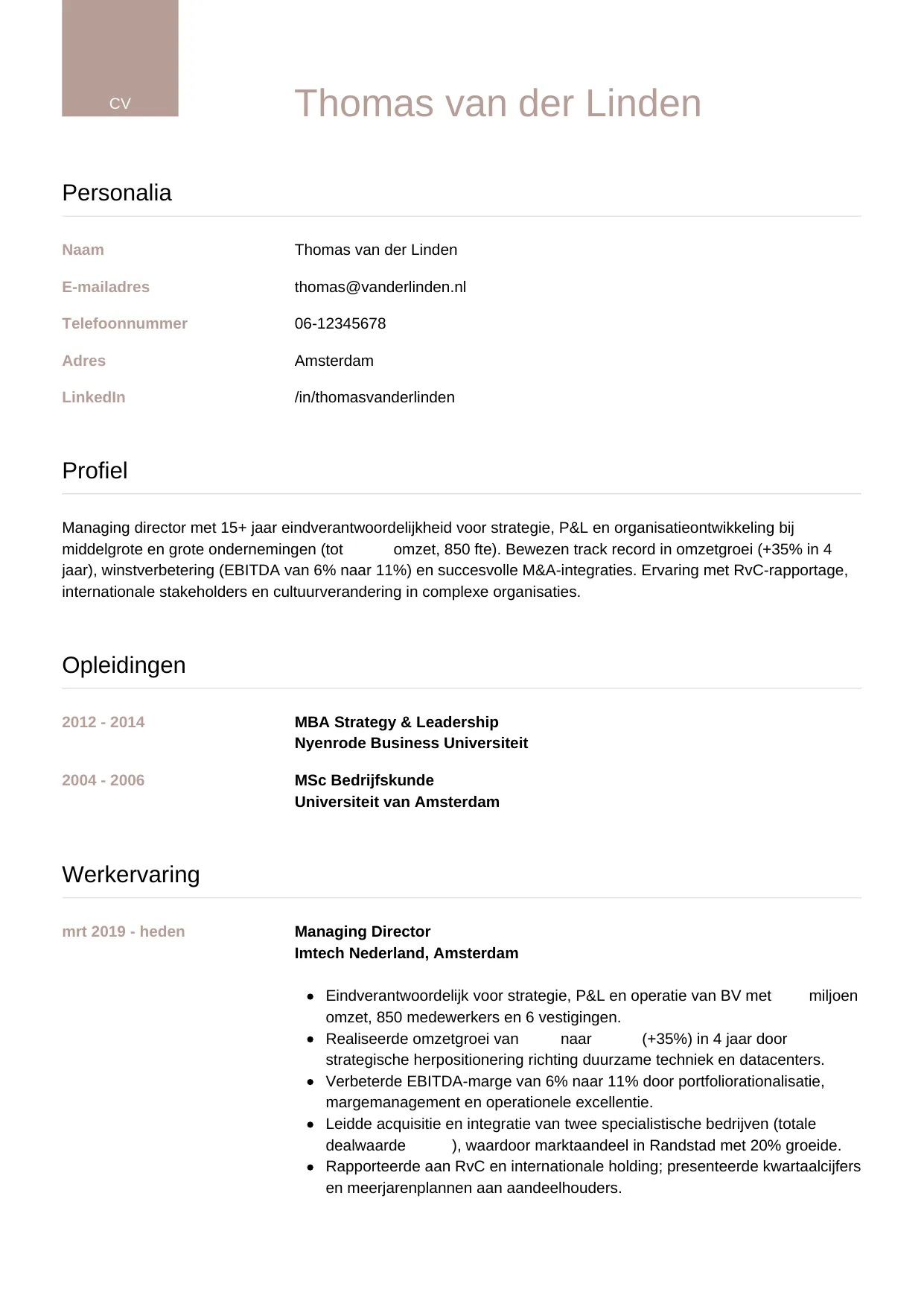 Voorbeeld CV voor managing director in template Luxe. CV Luxe voor managing director