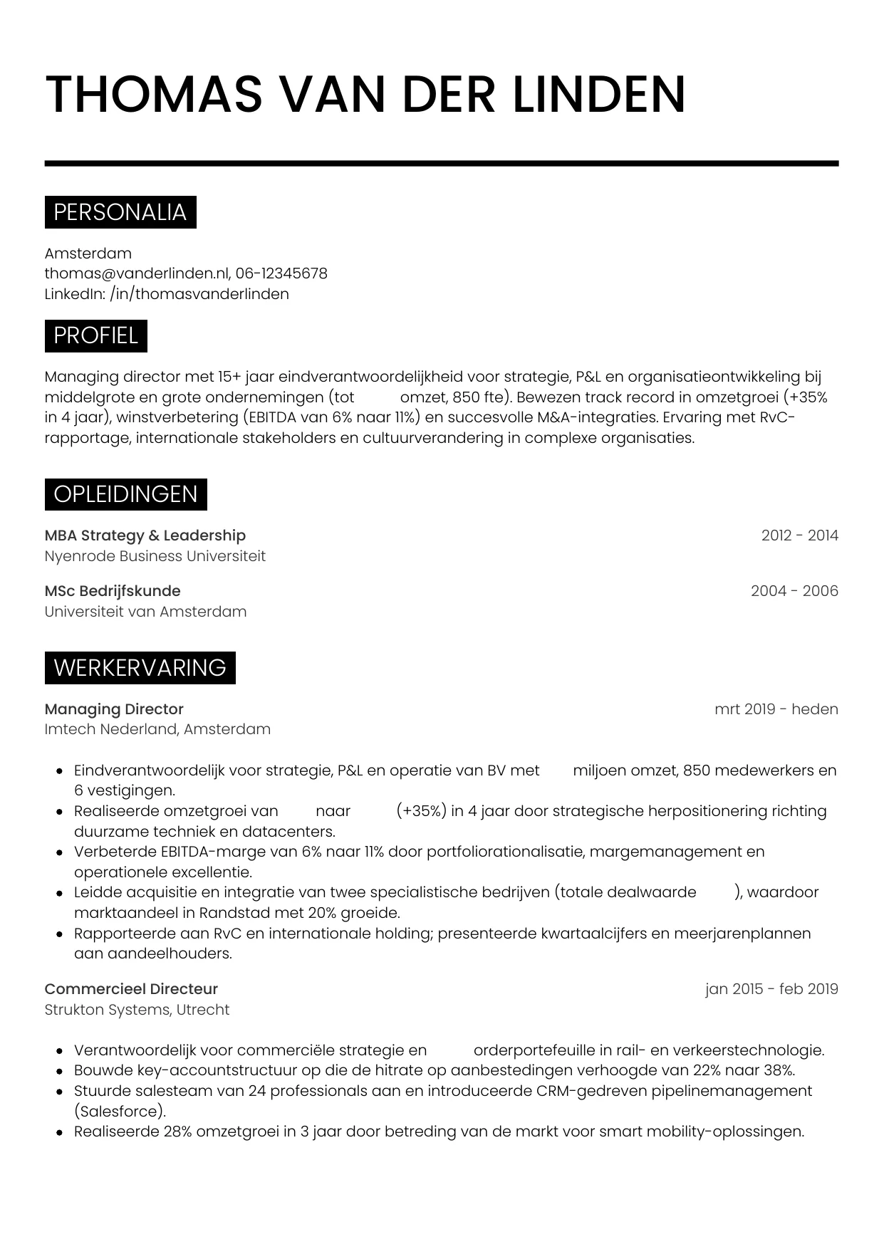 Voorbeeld CV voor managing director in template Metro. CV Metro voor managing director