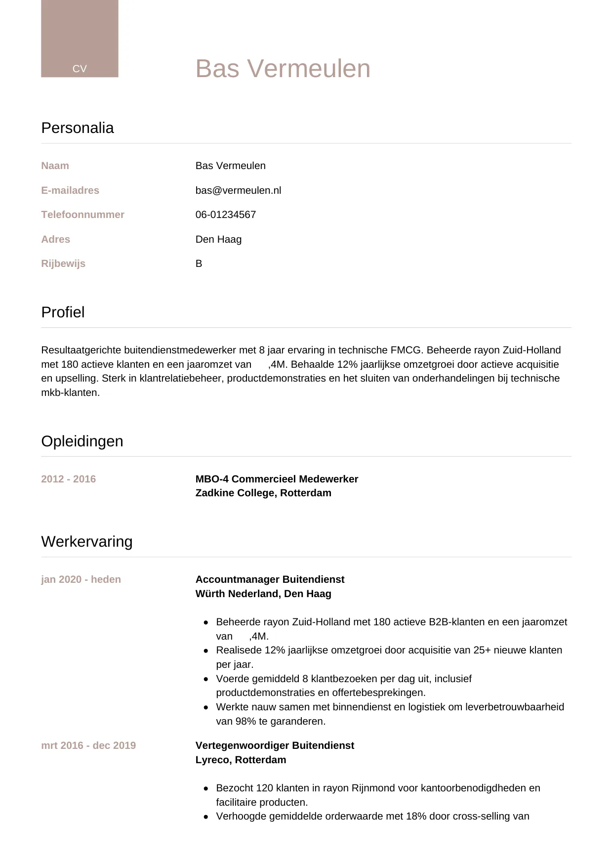 Voorbeeld CV voor medewerker buitendienst in template Luxe. CV Luxe voor medewerker buitendienst