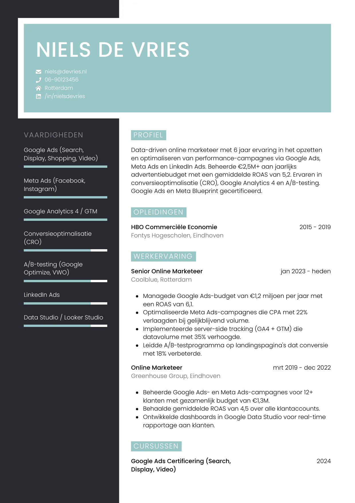Voorbeeld CV voor online marketeer in template Elegant. CV Elegant voor online marketeer