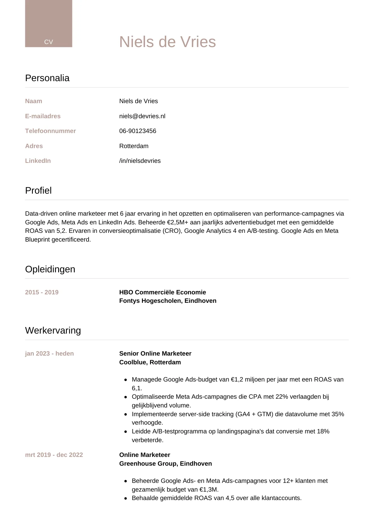 Voorbeeld CV voor online marketeer in template Luxe. CV Luxe voor online marketeer