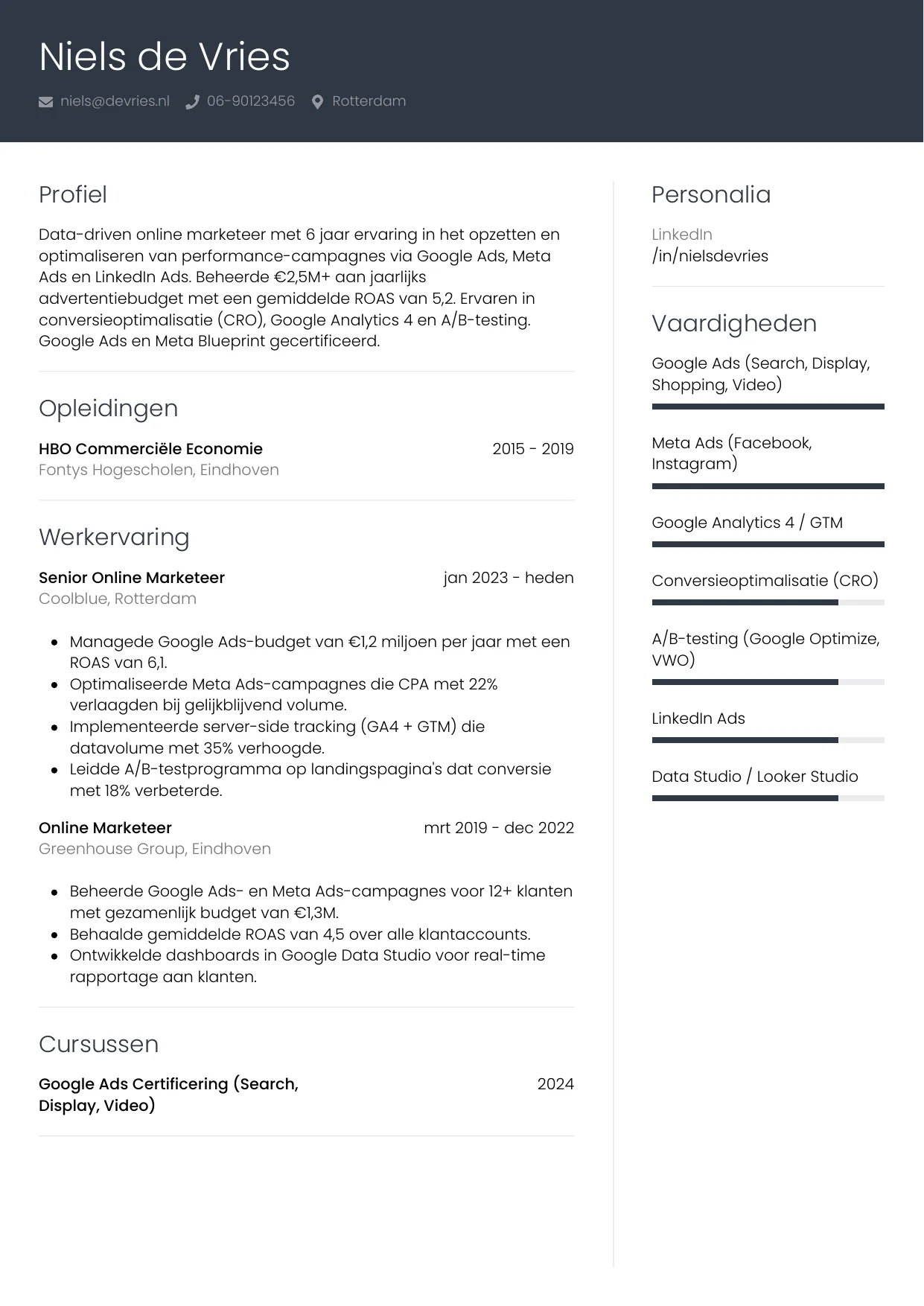 Voorbeeld CV voor online marketeer in template Professioneel. CV Professioneel voor online marketeer