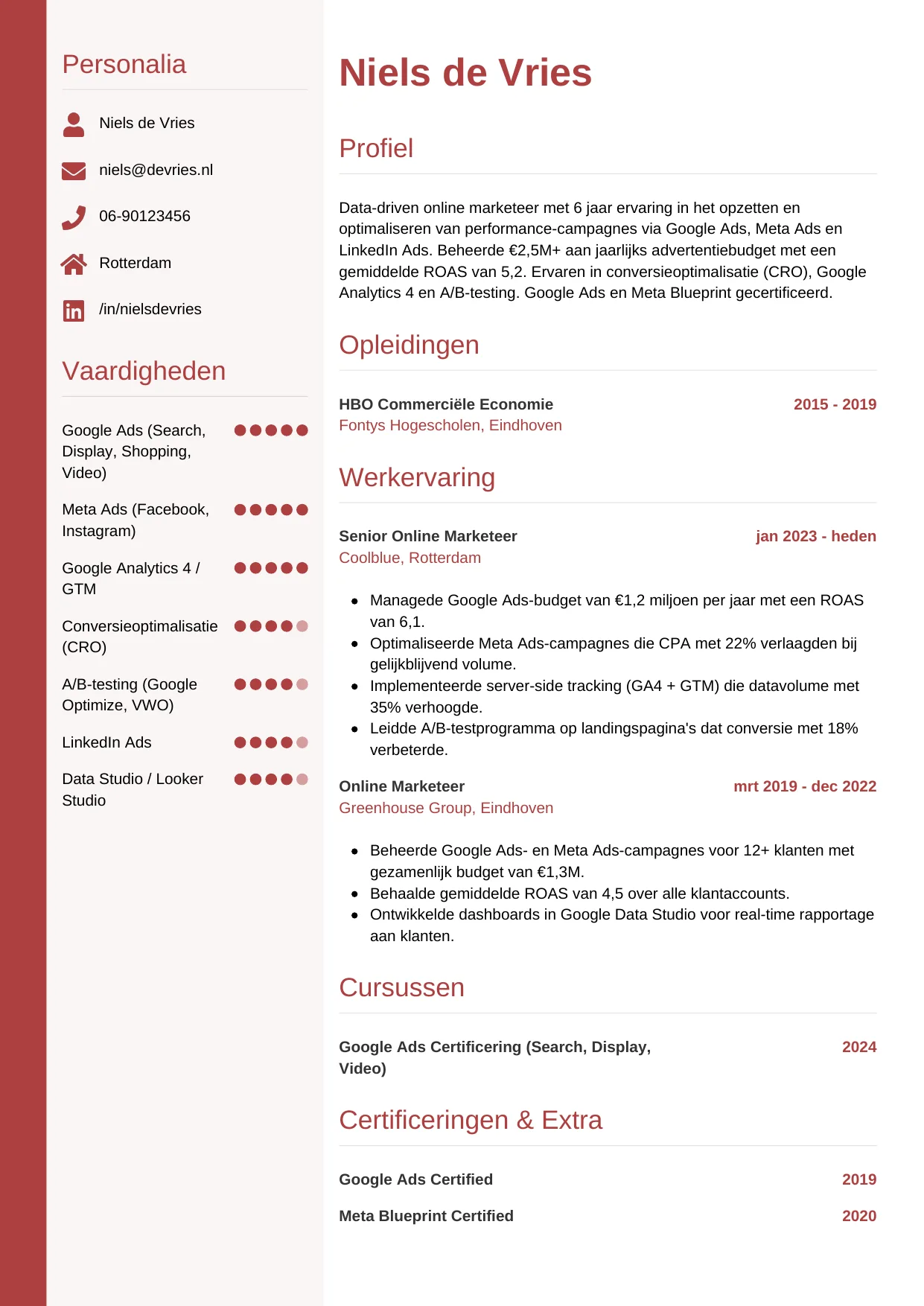 Voorbeeld CV voor online marketeer in template Verticaal. CV Verticaal voor online marketeer