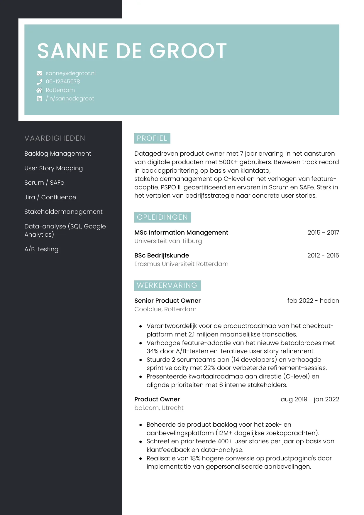 CV Elegant voor product owner