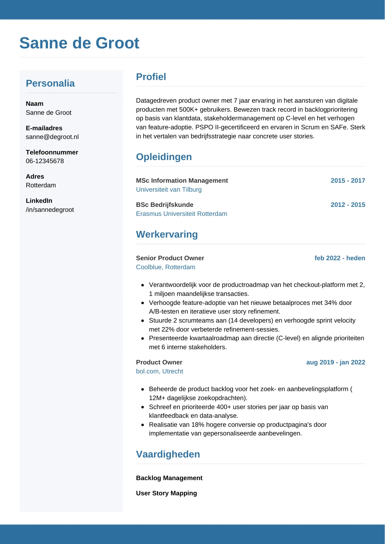 CV Horizontaal voor product owner
