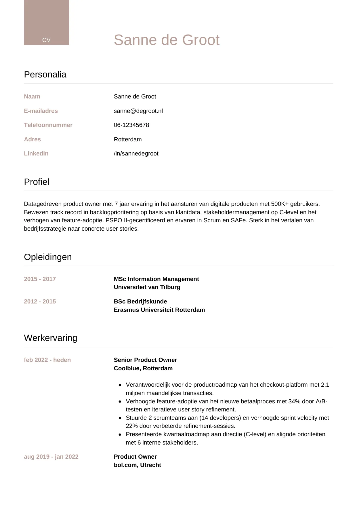CV Luxe voor product owner
